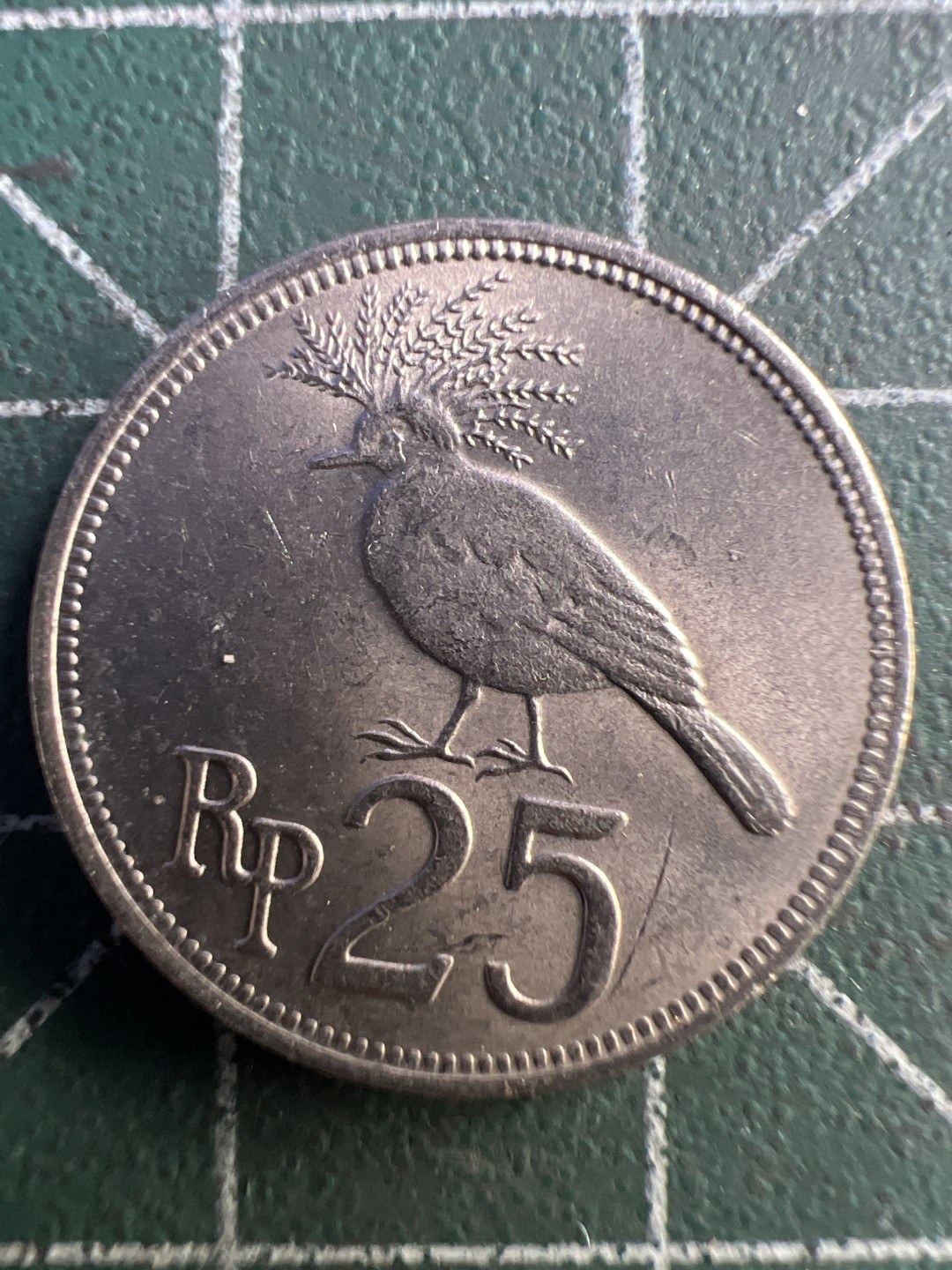 泡泡堂第195期  世界硬币（无押金，无佣金，捡漏，全场20包邮，偏远地区除外） 印度尼西亚25卢比