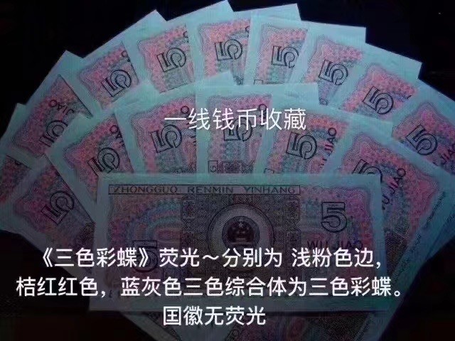 一线荧光币第46期拍场 钱坤评级8005PC三色彩蝶，最美彩蝶，PC33934664，评级币单张，绝品无斑无油