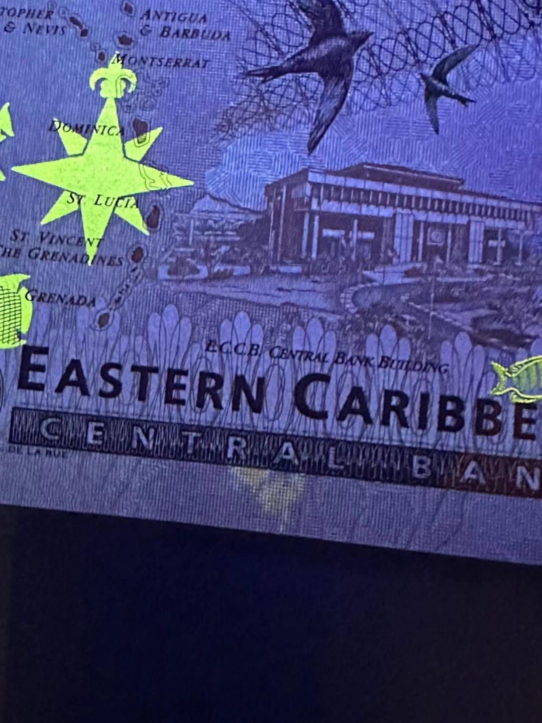 《外钞收藏家》第二百三十期英国女王专场（百慕大与东加勒比） 东加勒比2000年版100元金标，后缀A（安提瓜）	P41a 全新 有一个黄斑