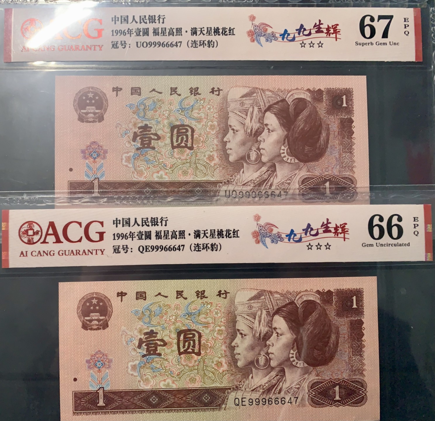 北极狼藏苑社团购专场(59) 0844-第四套人民币·九九生辉·连环豹·关门飞机号·全同号ACG66/67EPQ