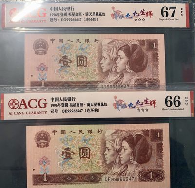 北极狼藏苑社团购专场(59) 0844-第四套人民币·九九生辉·连环豹·关门飞机号·全同号ACG66/67EPQ