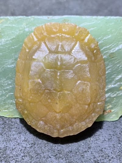 精美亚光金沙冰飘蒙料战国红玛瑙手工雕刻龟壳把件一个，(寓意，富甲天下) - 精美亚光金沙冰飘蒙料战国红玛瑙手工雕刻龟壳把件一个，(寓意，富甲天下)