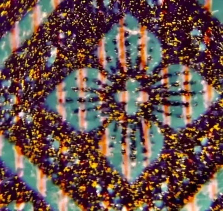 一线荧光币第46期拍场 钱坤评级8001——金满堂黄金甲姐妹花，DS06103185，金满堂黄金甲比金满堂背红，金满堂金牡丹都要稀少，所以说金满堂黄金甲是最稀少的金满堂