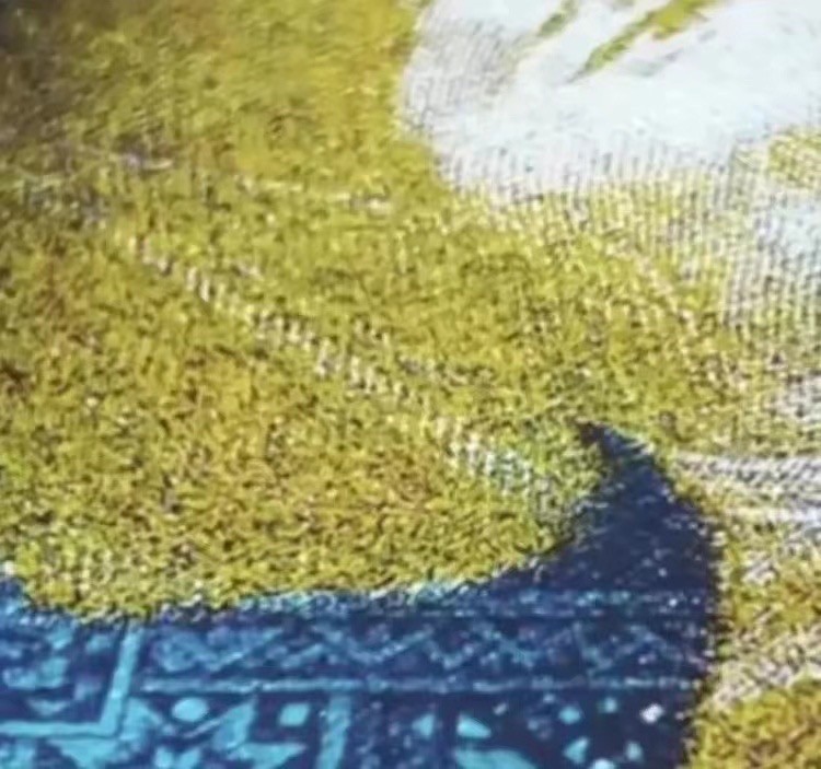 一线荧光币第46期拍场 钱坤评级8001——金满堂黄金甲姐妹花，DS06103185，金满堂黄金甲比金满堂背红，金满堂金牡丹都要稀少，所以说金满堂黄金甲是最稀少的金满堂