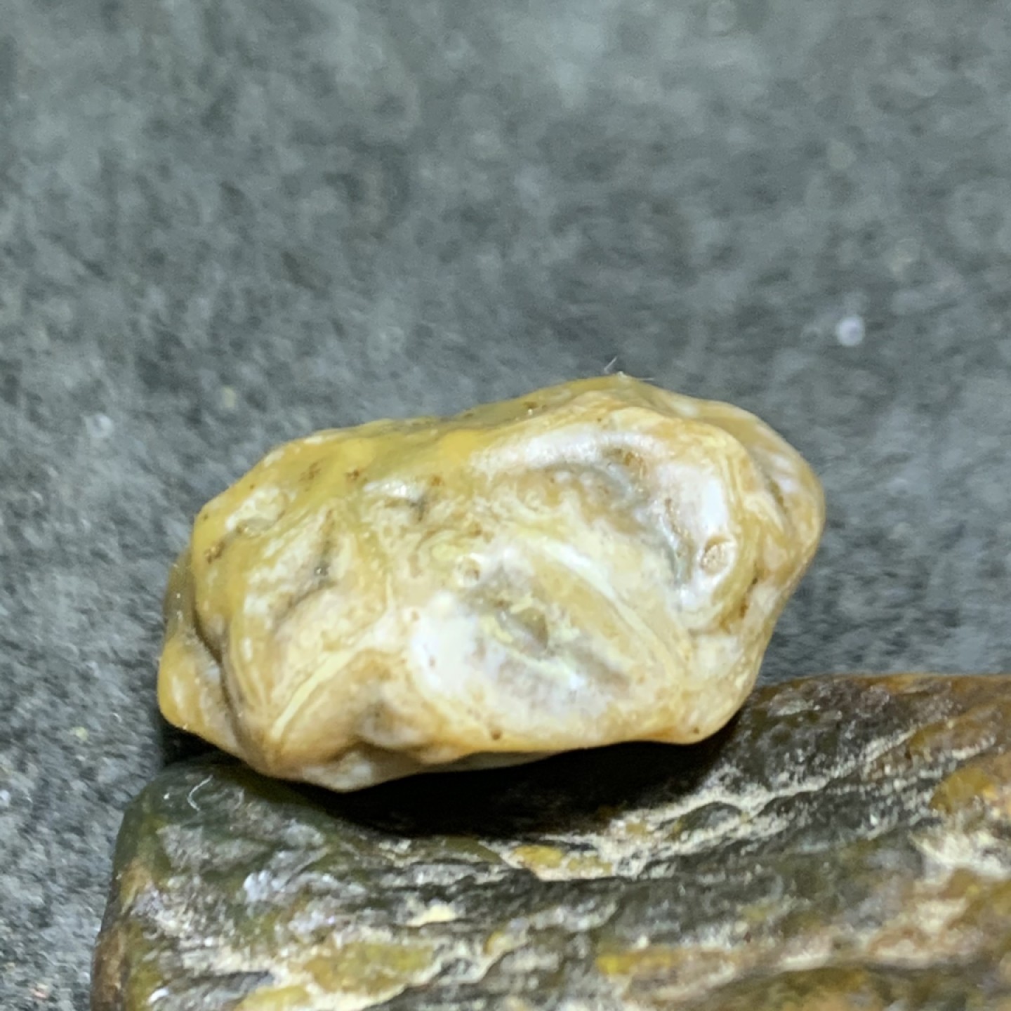 精美戈壁筋脉石原石一颗，