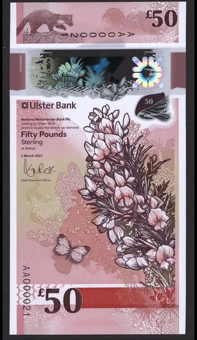 【Blue Auction】✨世界纸币精拍第280期——喜迎新春特别场【精】 【AA全同21（”爱你“）极小号一套】北爱尔兰 2018-2021年 