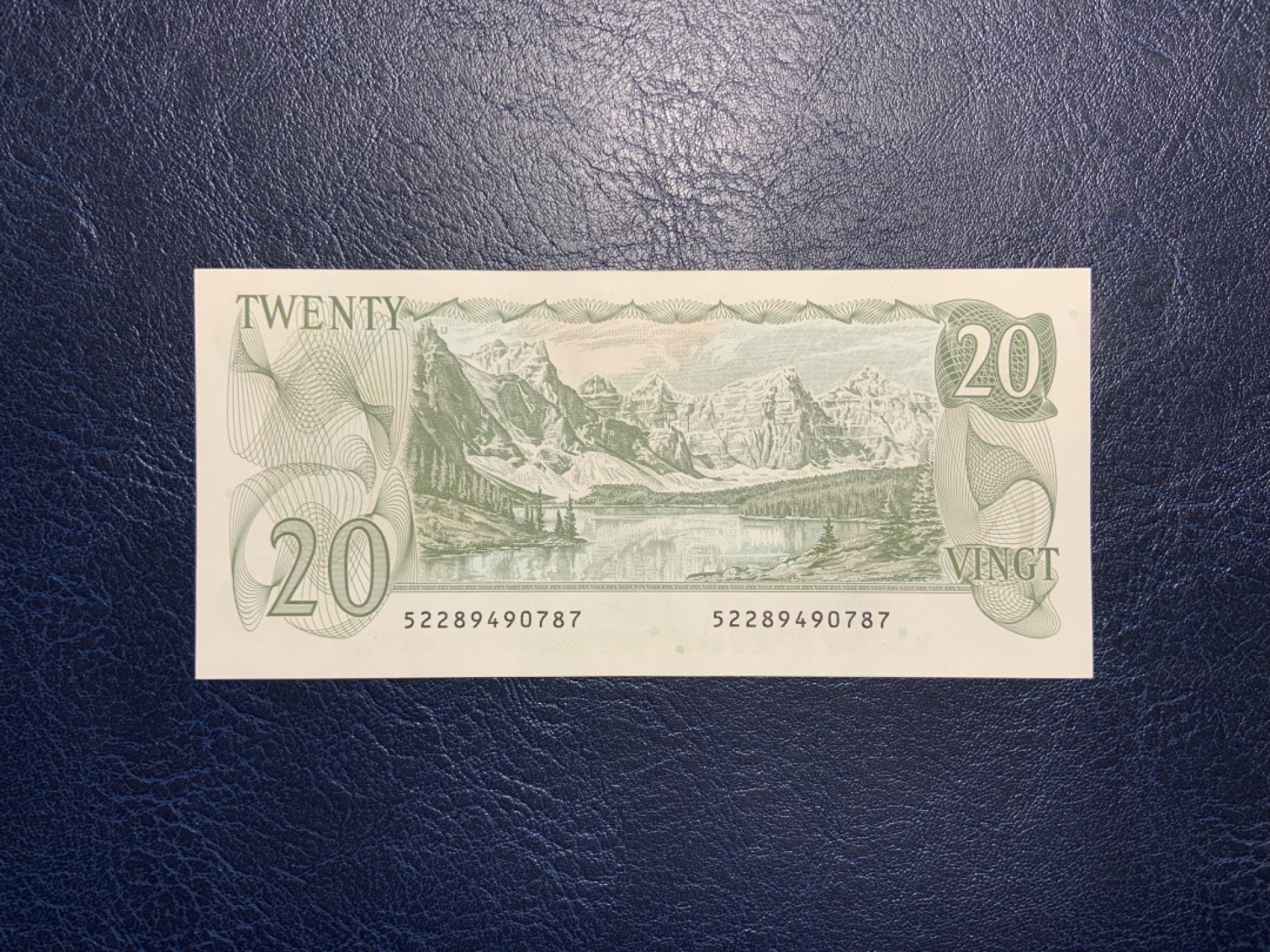 收藏联盟Quantum Auction 第226期拍卖 加拿大1979年20元 品相AU 落基山脉 