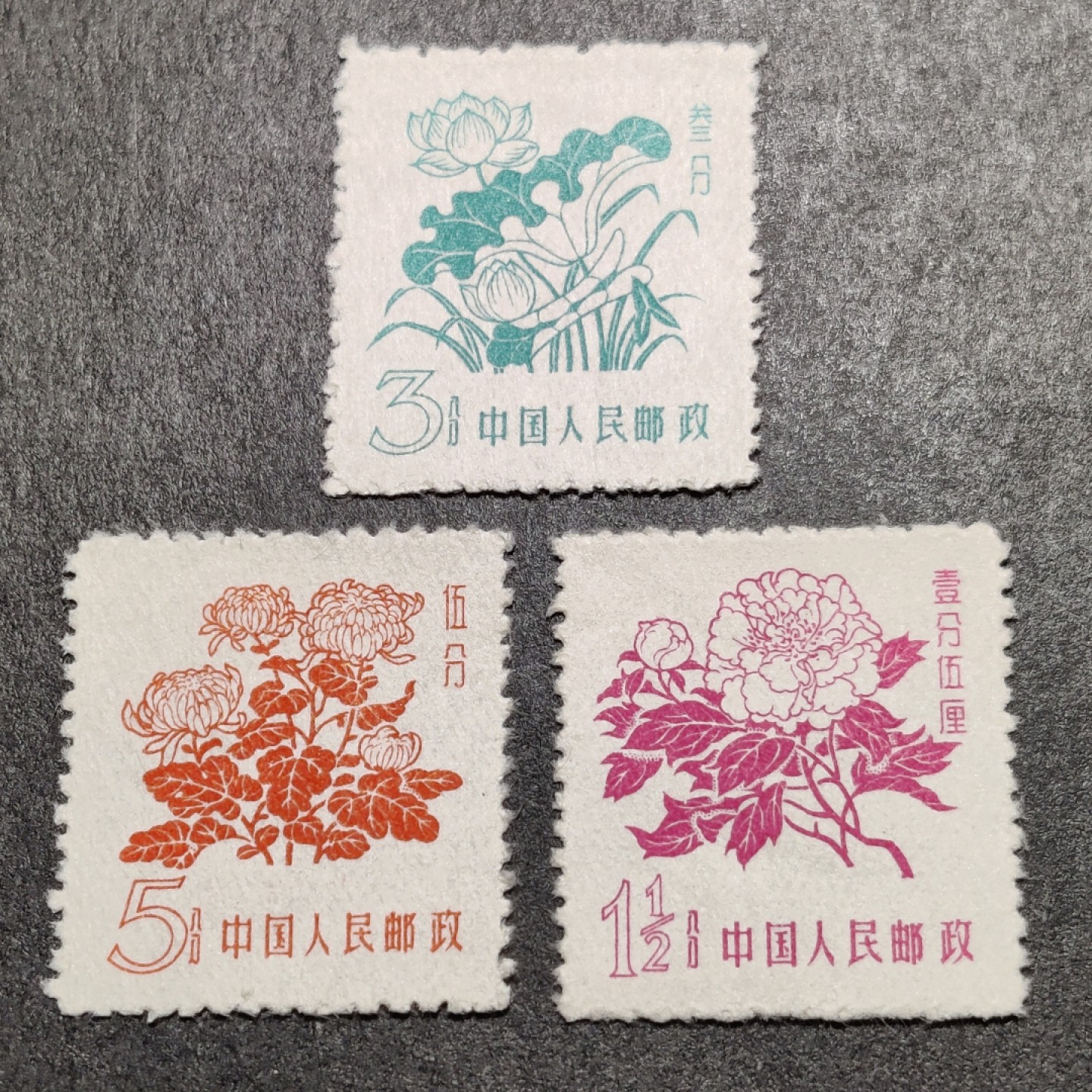 洪涛臻品批发群  精选邮票限时拍卖第一百七十五期 普10花卉 新票3全 赝品多 终身保真！ 带出厂原始光泽！完美过灯！ OP全品！