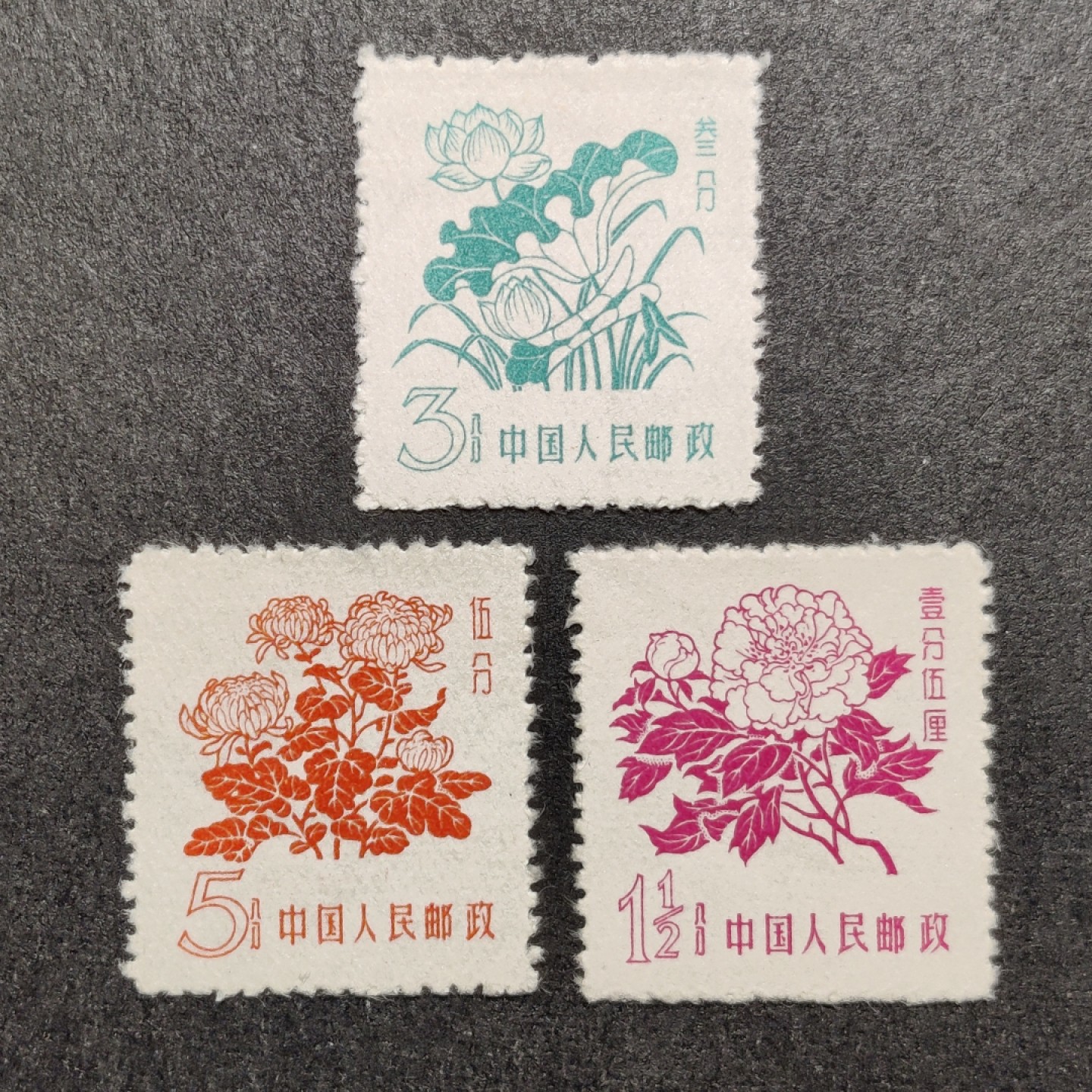 洪涛臻品批发群  精选邮票限时拍卖第一百七十五期 普10花卉 新票3全 赝品多 终身保真！ 带出厂原始光泽！完美过灯！ OP全品！