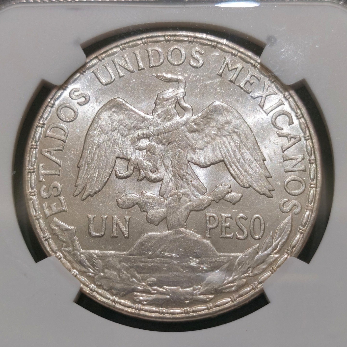 博洋堂“大航海之辉”世界钱币精品专场暨第012期（全场包邮） NGC MS64 墨西哥1910年骑马鹰洋1比索大银币，原卷暴光