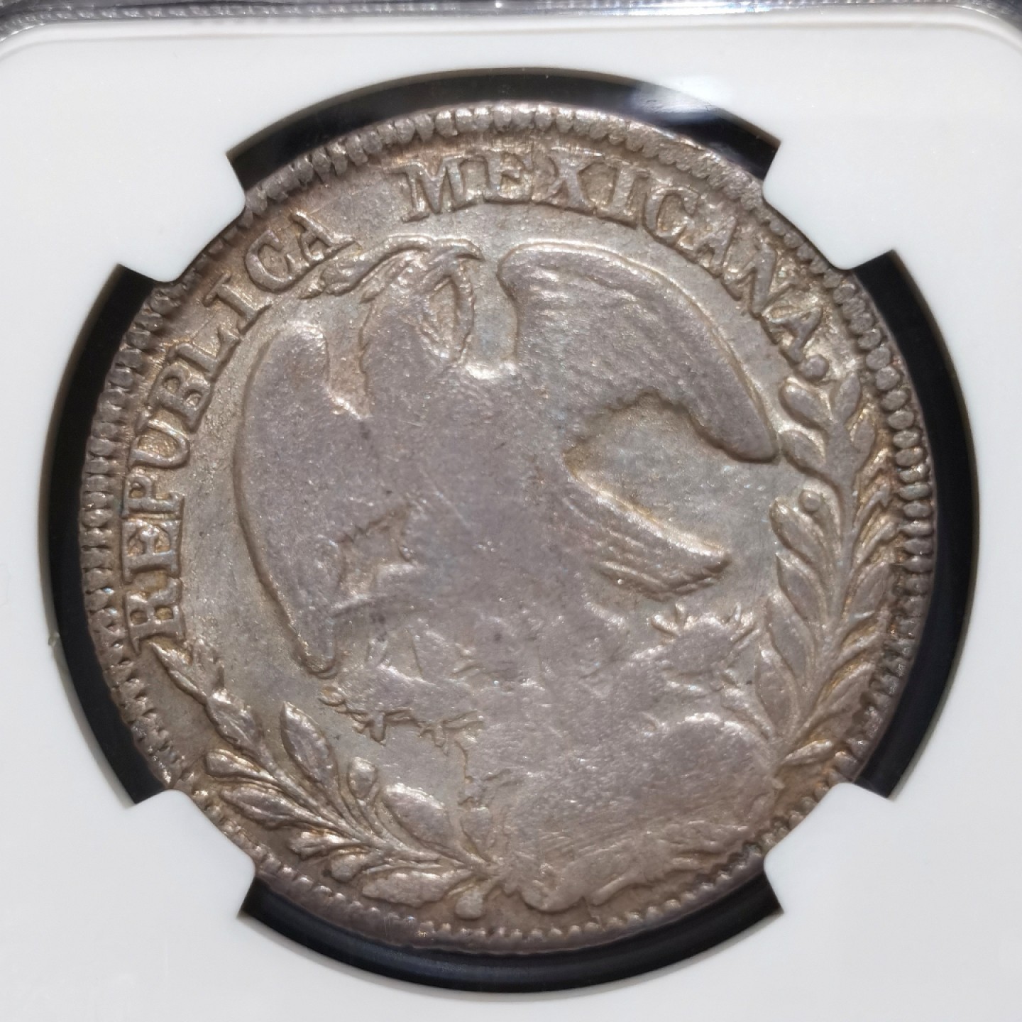 博洋堂“大航海之辉”世界钱币精品专场暨第012期（全场包邮） NGC MS61 墨西哥1845年DO RM版花边鹰洋，五级鹰洋，NGC有分仅三枚