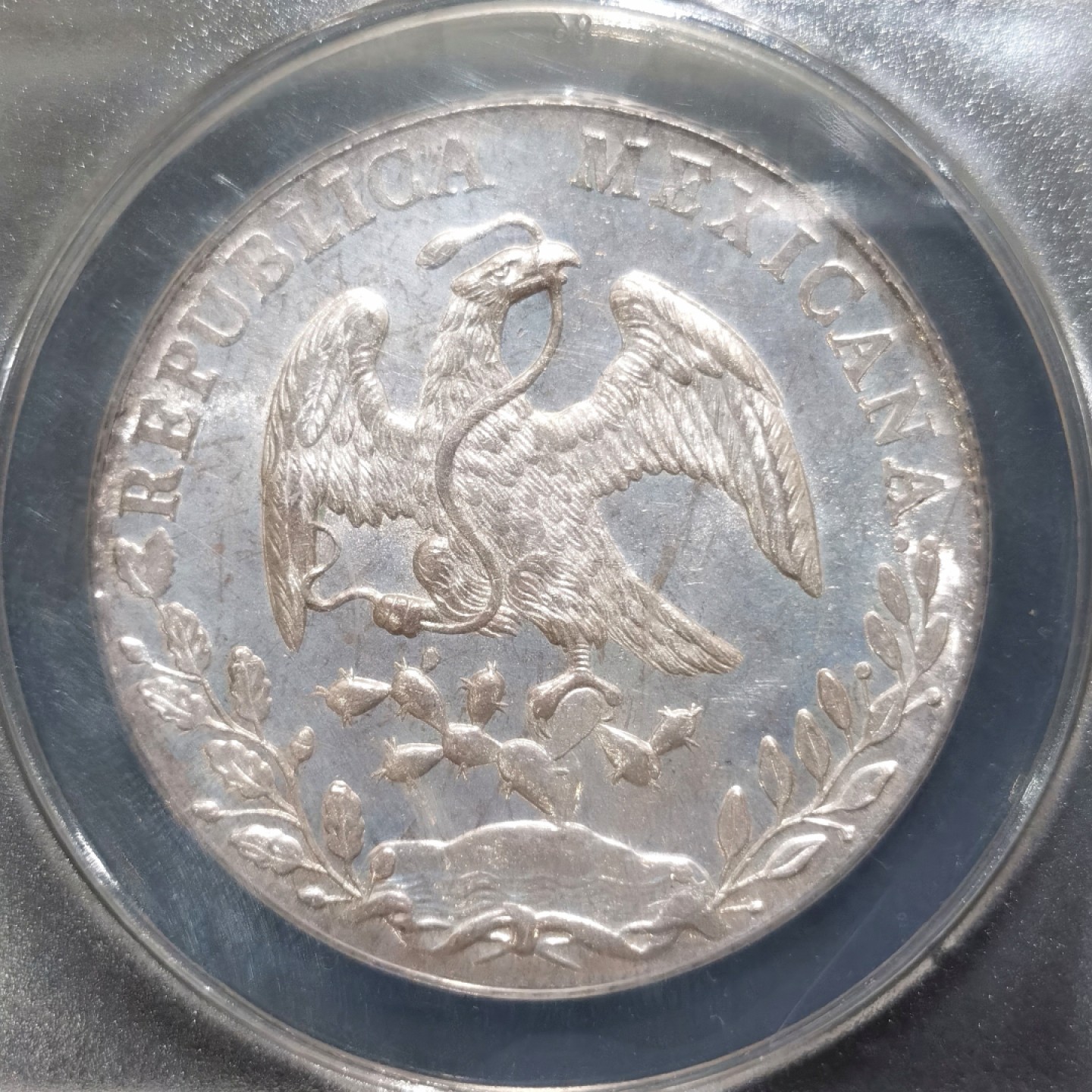 博洋堂“大航海之辉”世界钱币精品专场暨第012期（全场包邮） ANACS MS64 墨西哥1886年MO MH版花边鹰洋，少见评级盒