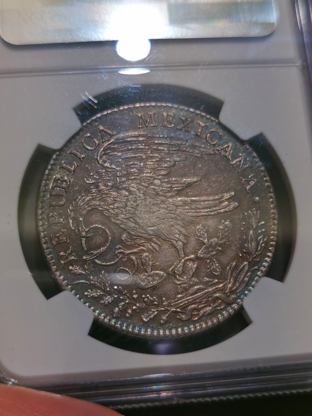 博洋堂“大航海之辉”世界钱币精品专场暨第012期（全场包邮） NGC AU 墨西哥1824年MO JM 'HOOKNECK' 8R鹰洋，弯颈鹰名誉品