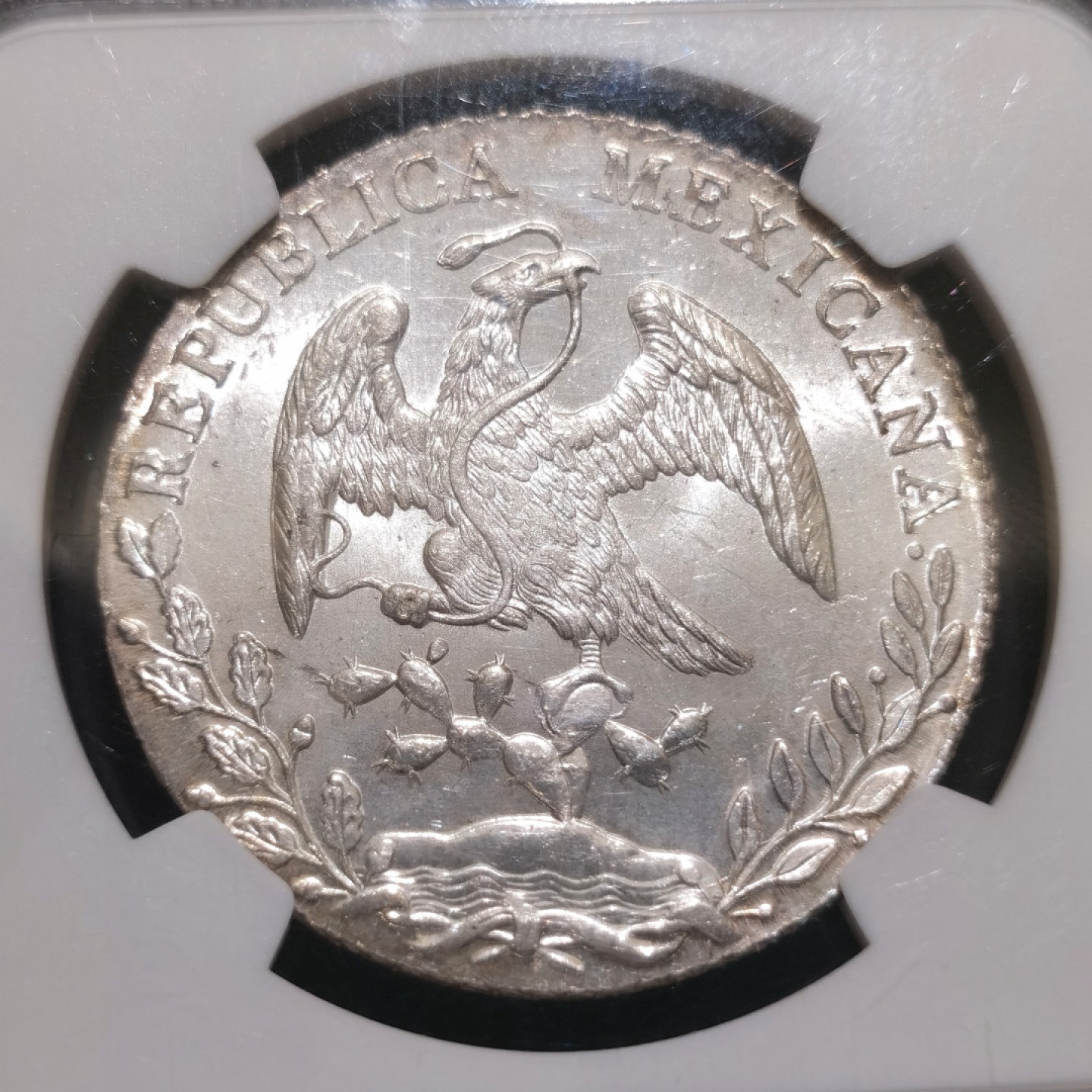 博洋堂“大航海之辉”世界钱币精品专场暨第012期（全场包邮） NGC MS66 墨西哥1886年MO MH版花边鹰洋，丝滑底板，原卷暴光，NGC最高分