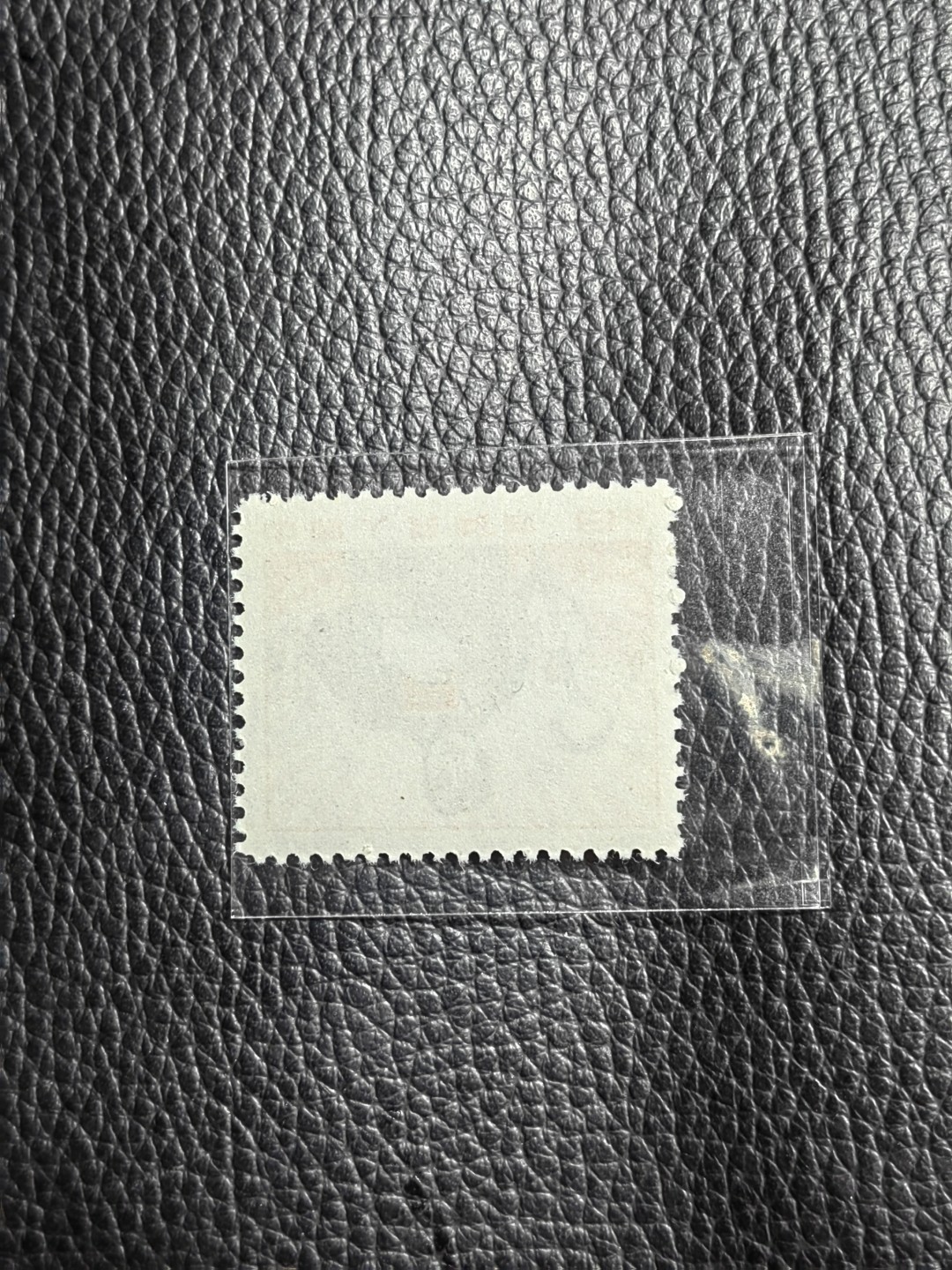 洪涛臻品批发群  精选邮票限时拍卖第一百四十八期 ★组外品★普无号 11.5°细齿 工人裸票一枚，普通票下边16个齿，细齿组外品19个齿，存世量少，全品可评级，喜欢不要错过