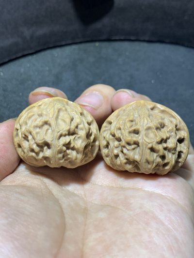 玉玺宫灯狮子头文玩核桃麻核桃一对！ - 玉玺宫灯狮子头文玩核桃麻核桃一对！