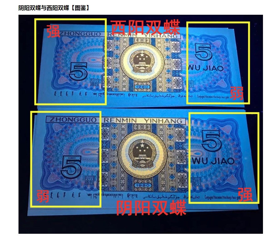 一线荧光币第46期拍场 钱坤评级8005QI西阳双碟，QI28754943，评级币单张，西阳双蝶的荧光形态在背面，是8005满版荧光里左边荧光强于右边荧光的一个新发现，与阴阳双蝶特征恰好相反，中间国徽区域同样呈现金色荧光反应。西阳双蝶的发现呈现出很大的意外性，打破了通过冠号流水推算荧光特征的规律