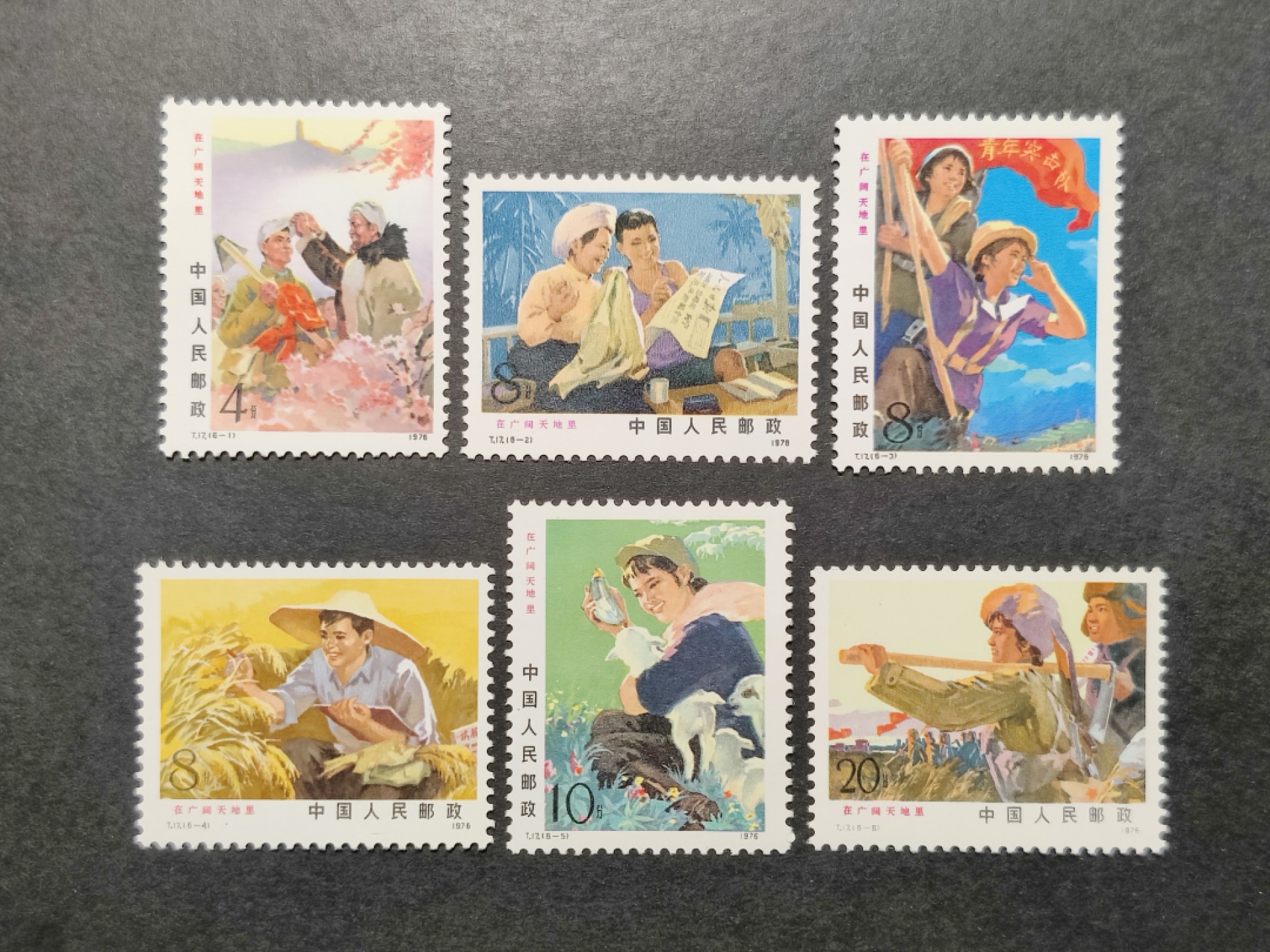 洪涛臻品批发群  精选邮票限时拍卖第一百四十三期 T17广阔天地 6全新 面艳票挺 原胶润白！ 完美过灯！OG全品！