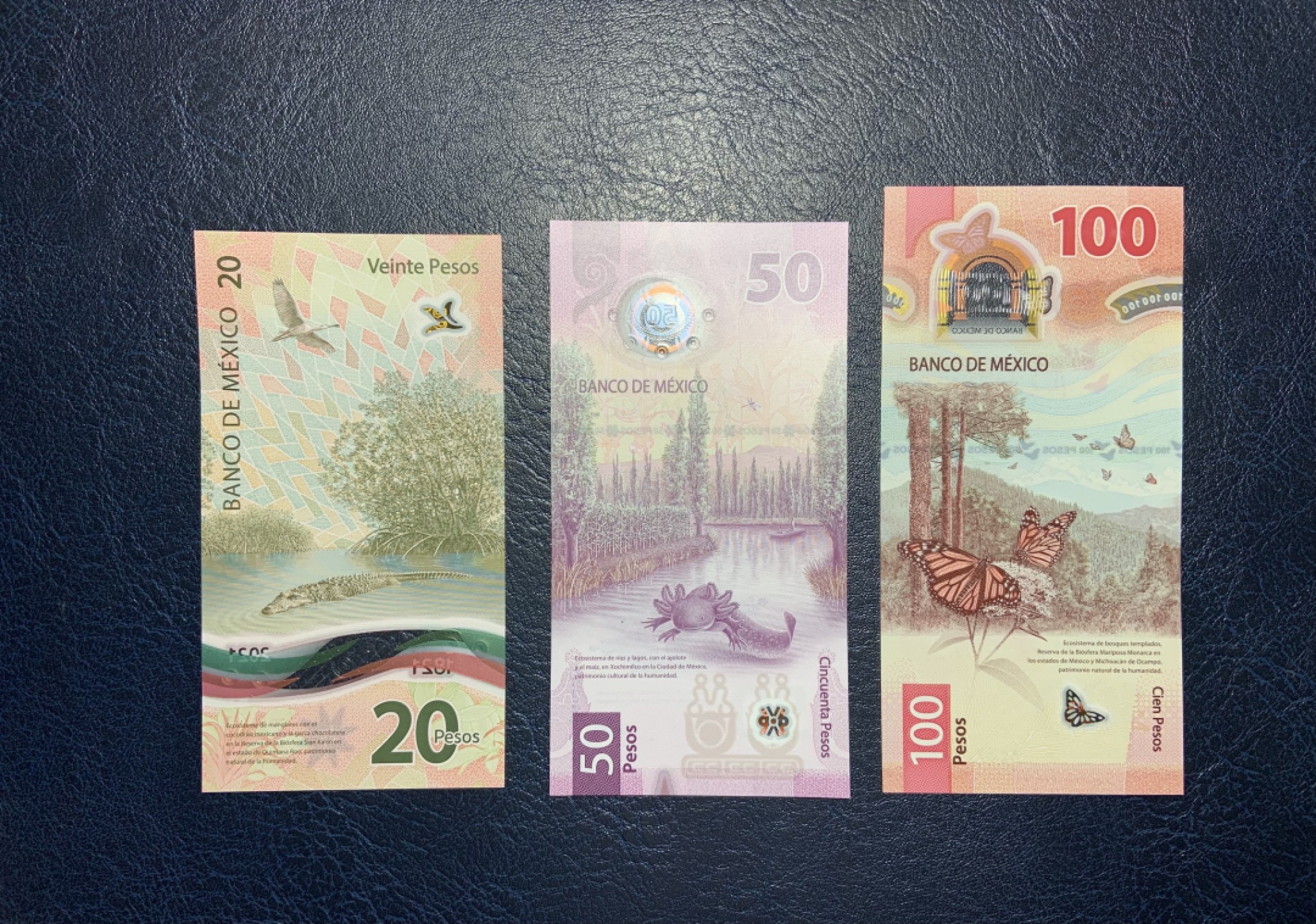 收藏联盟Quantum Auction 第226期拍卖 墨西哥2020-21年20-100比索 品相全新UNC 20为独立纪念钞