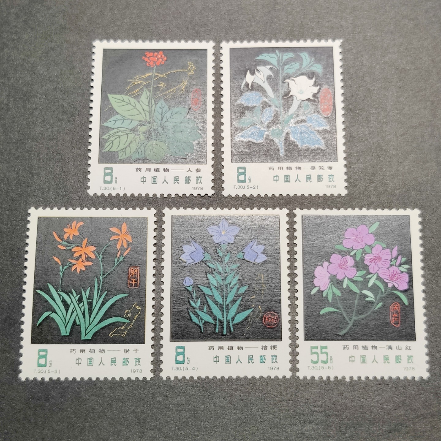 洪涛臻品批发群  精选邮票限时拍卖第一百四十四期 T30药用植物 4全新 面艳票挺 原胶润白！ 完美过灯！OG全品！