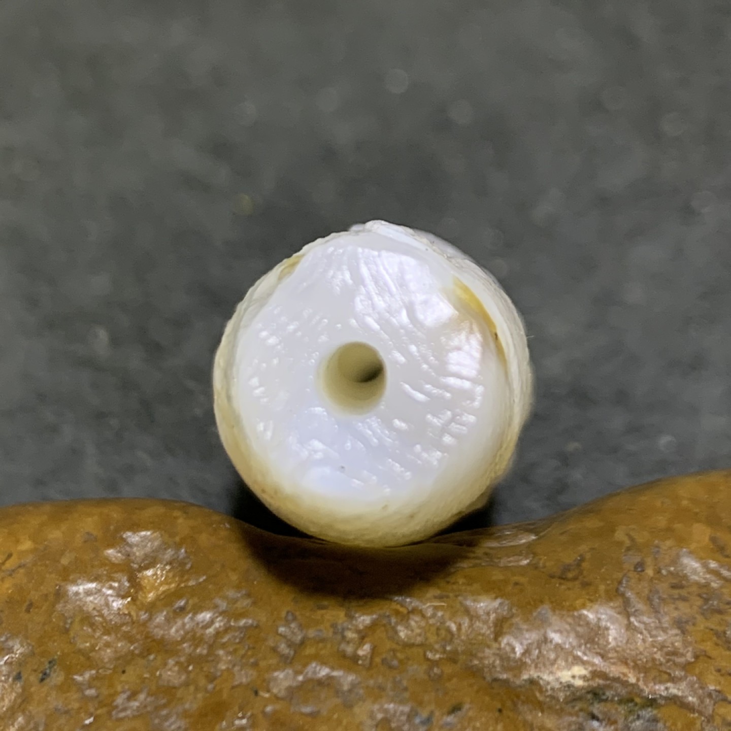 精美马达加斯加精品高玉化海洋玉髓风化纹大桶珠一颗！