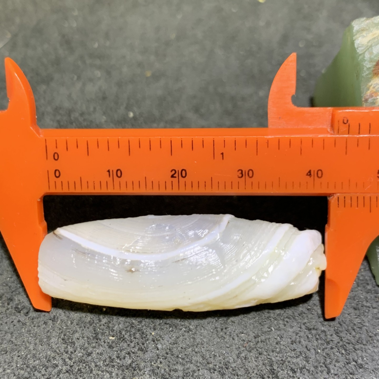 精美马达加斯加精品高玉化海洋玉髓风化纹大桶珠一颗！