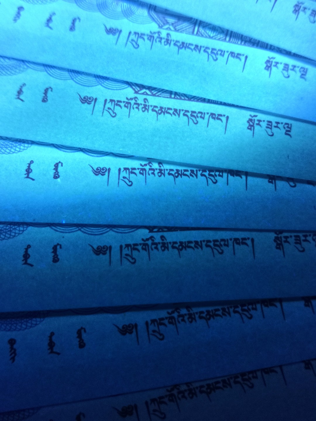 8005荧光币专场无托拍 8005BQ数字荧光纤云（另类)标十