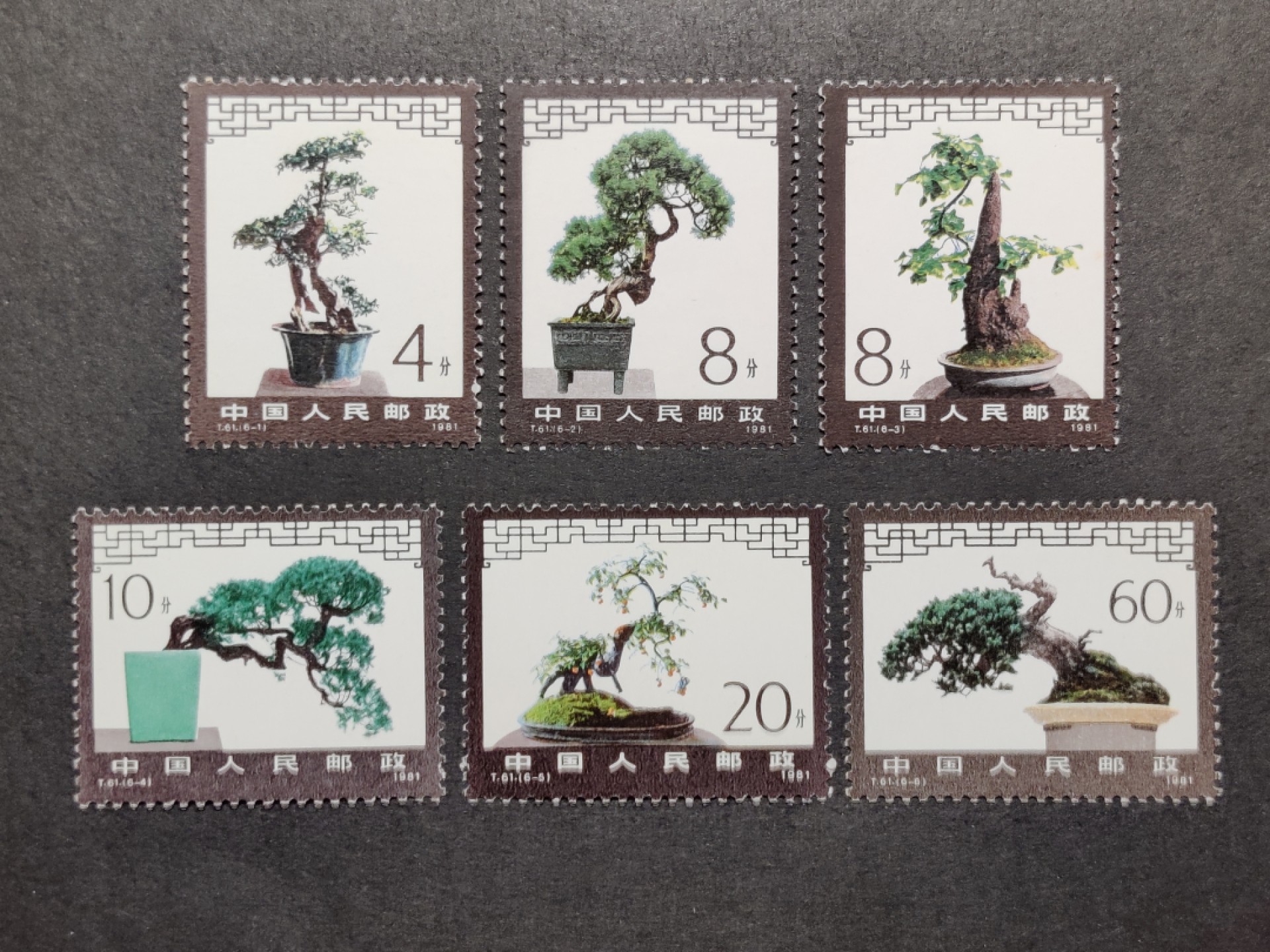 洪涛臻品批发群  精选邮票限时拍卖第一百四十四期 T61盆景艺术 5全新 面艳票挺 原胶润白！ 完美过灯！OG全品！