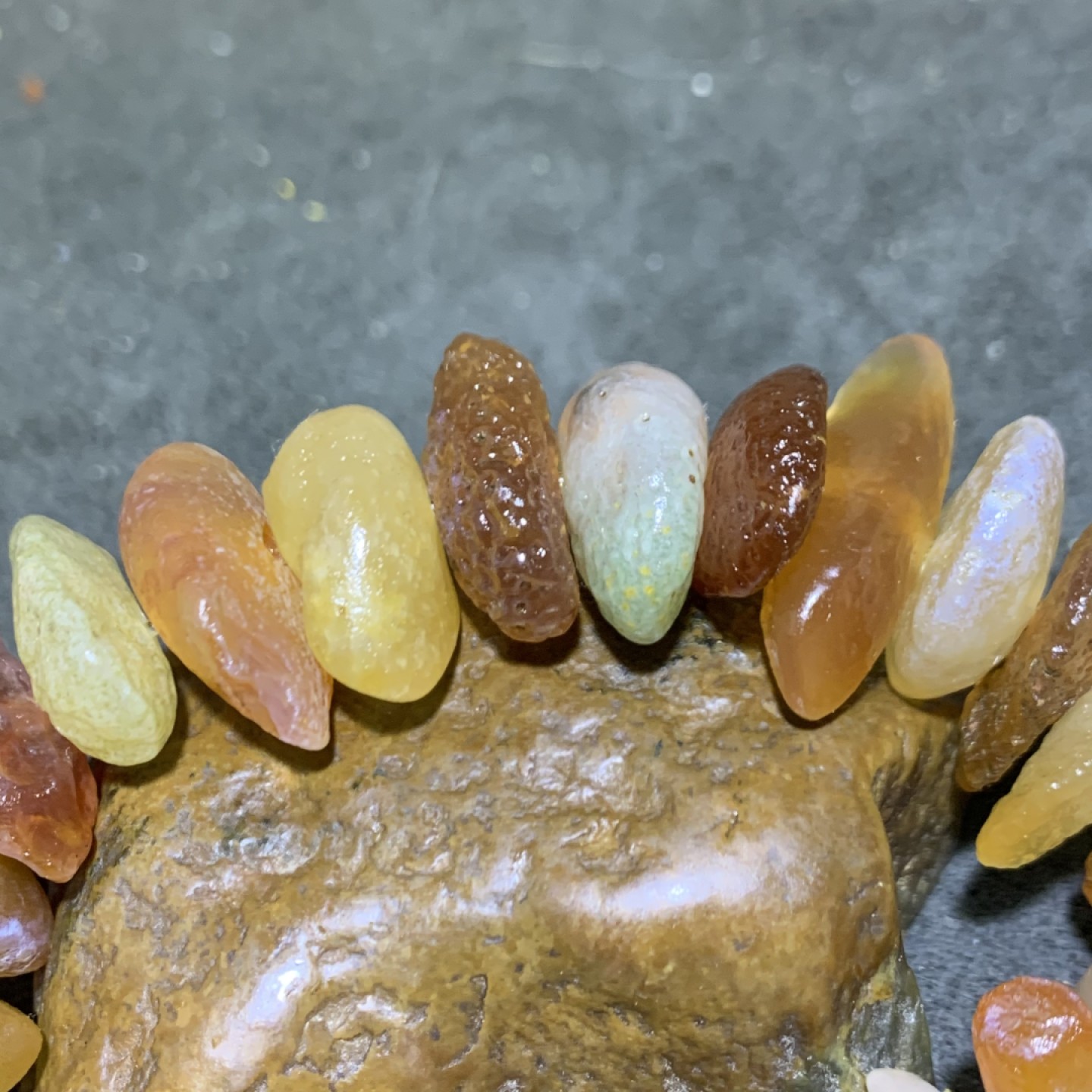 精美阿拉善大尺寸瓜子型原石手串一条，