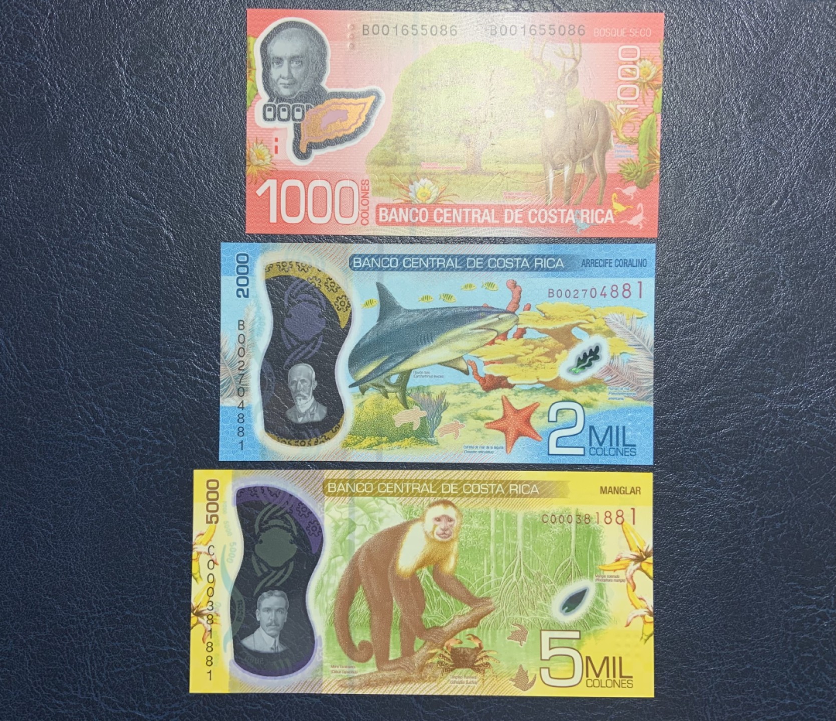 收藏联盟Quantum Auction 第226期拍卖 哥斯达黎加2018年B和C序列1000-5000克朗 品相全新UNC 00首发冠