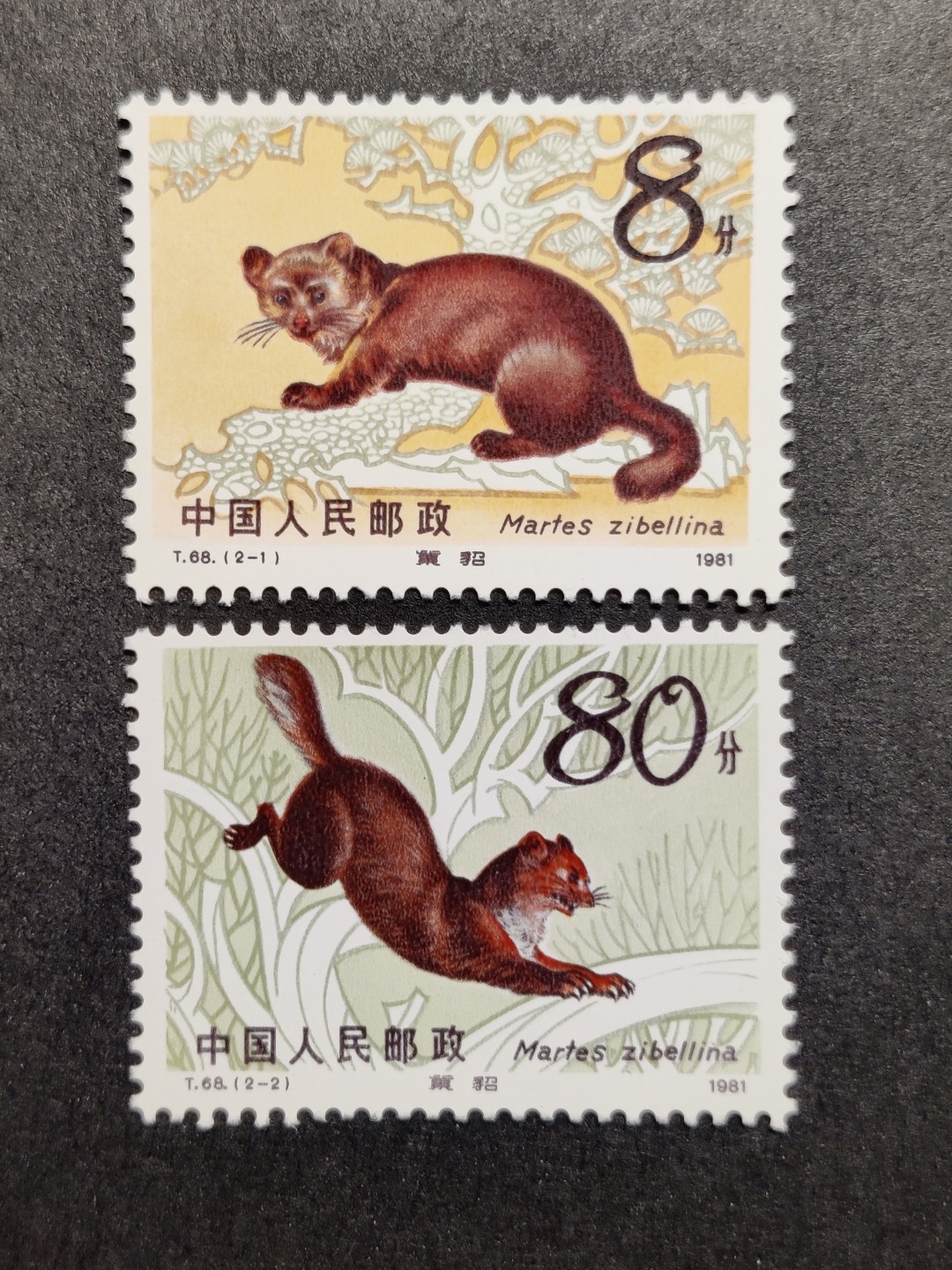 洪涛臻品批发群  精选邮票限时拍卖第一百四十五期  T68紫貂 新全套 原胶润亮！ 完美过灯！OG全品！