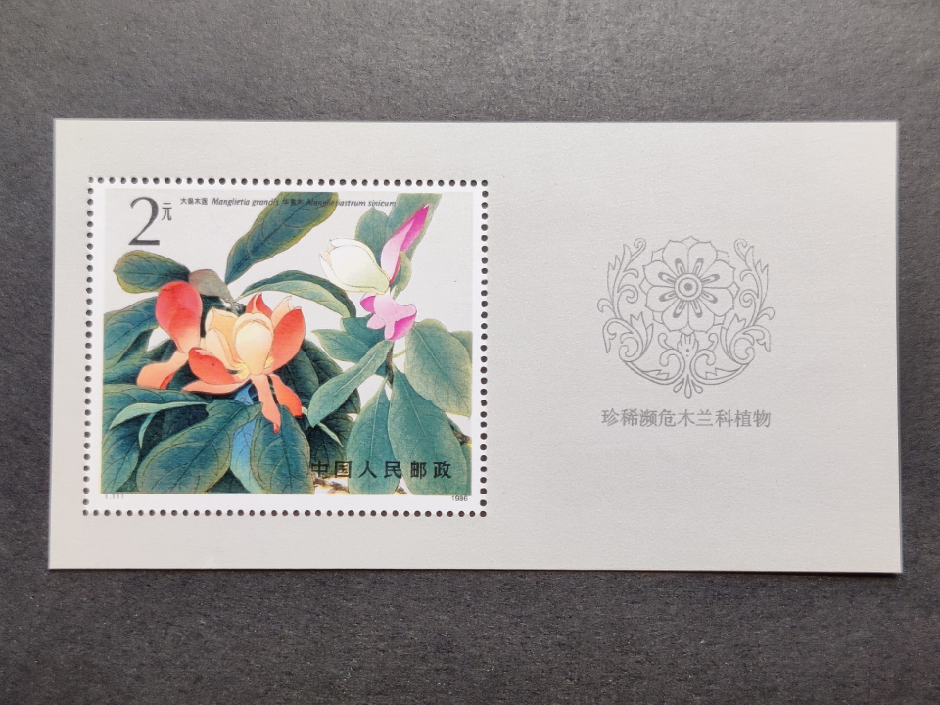 洪涛臻品批发群  精选邮票限时拍卖第一百四十五期 T111M木兰小型张 新全套 原胶润白！ 完美过灯！OG全品！