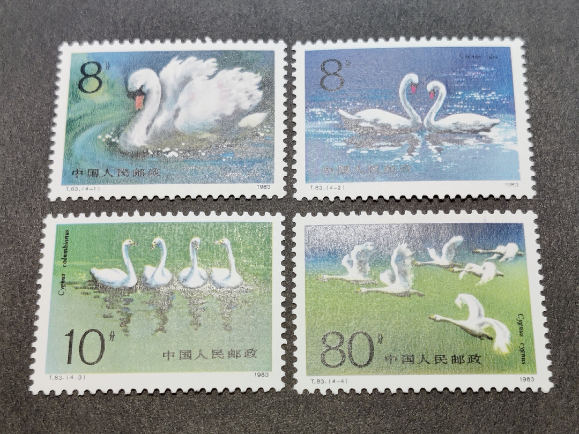洪涛臻品批发群  精选邮票限时拍卖第一百四十五期 T83天鹅 新全套 设计精美,83年最佳邮票得主! 原胶润亮！ 完美过灯！OG全品！