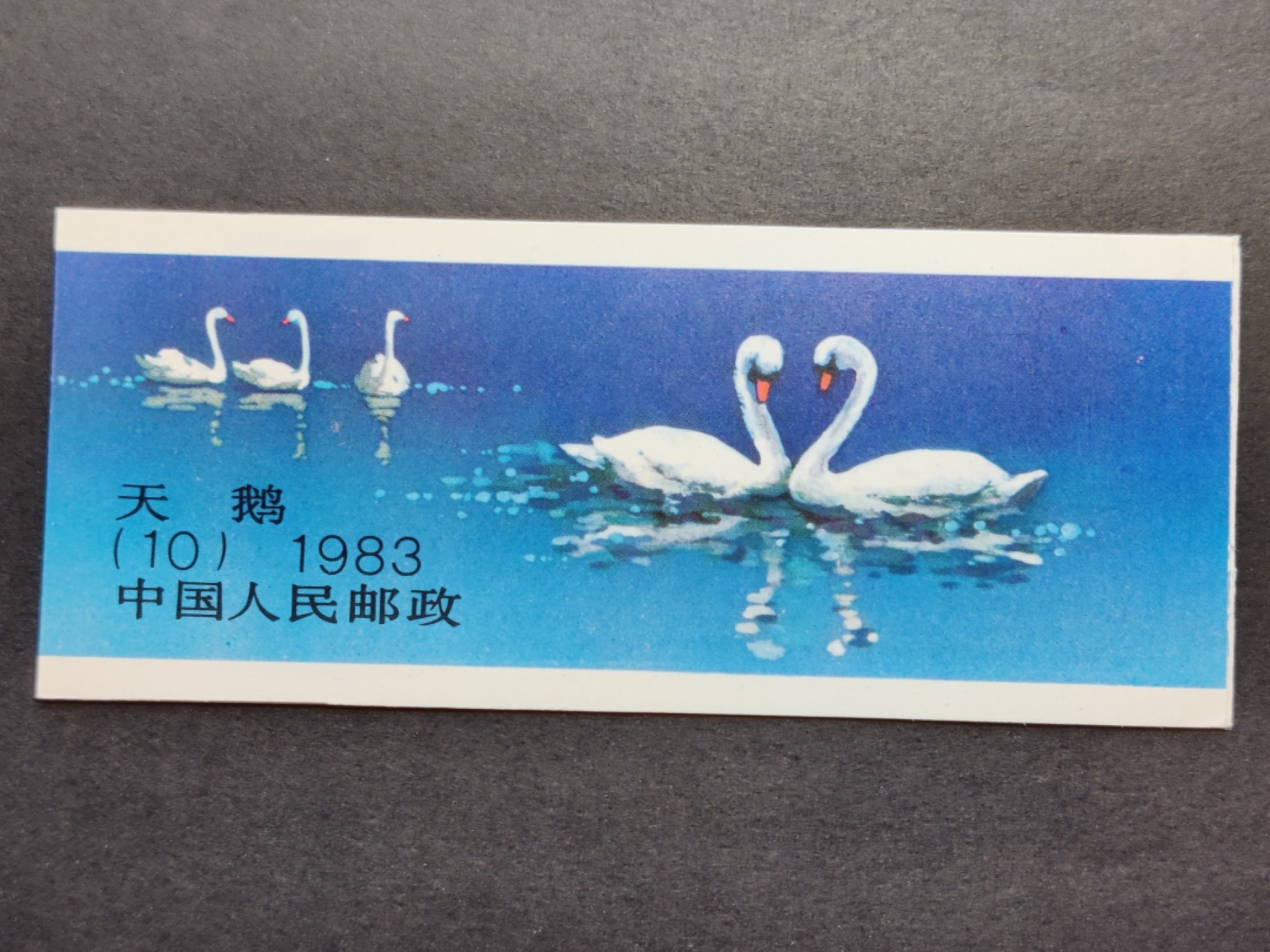 洪涛臻品批发群  精选邮票限时拍卖第一百四十五期 天鹅小本票 外皮角尖 内页OP全品带厂铭！原胶润白！完美过灯！