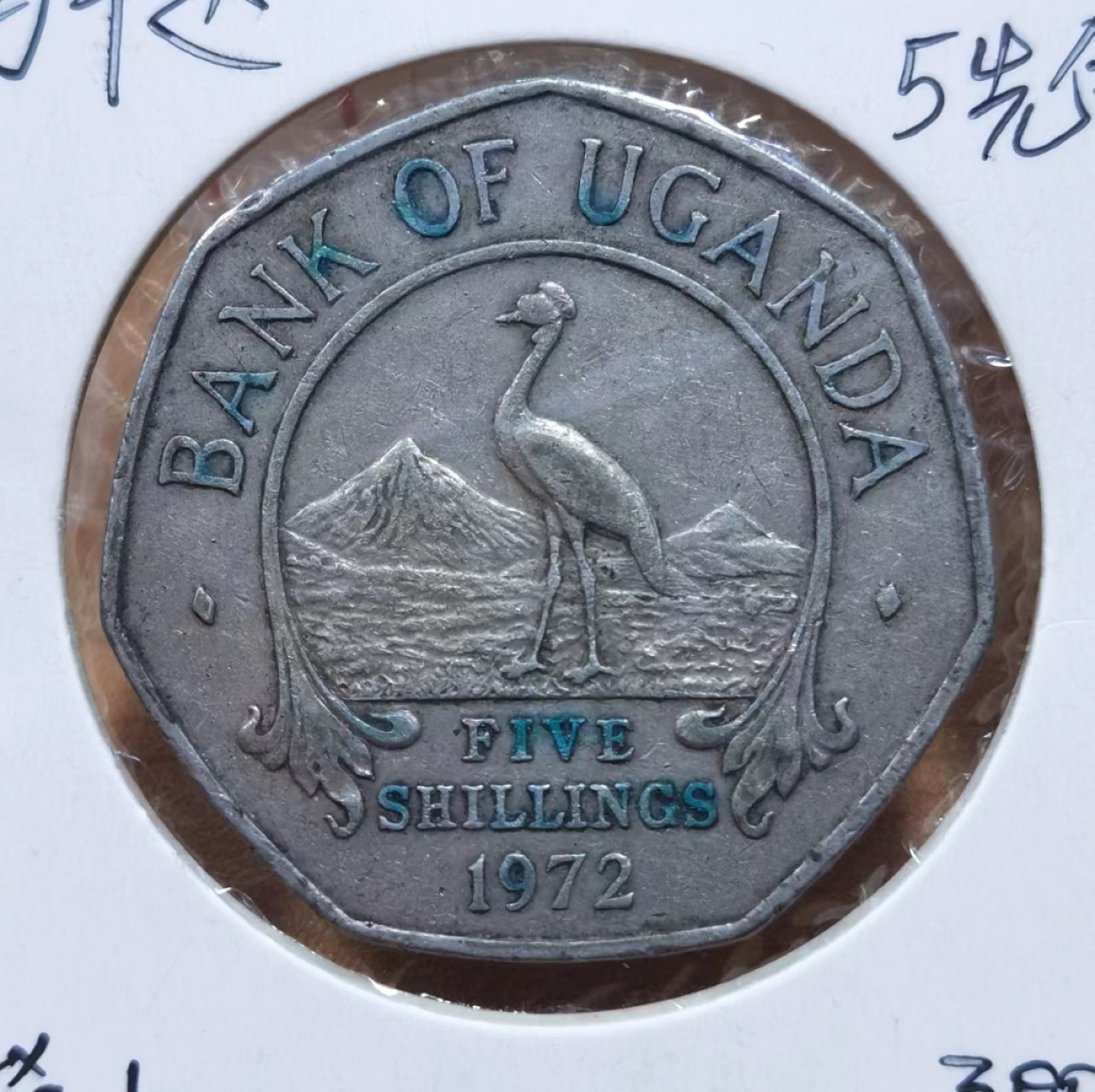 北京马甸外国币专卖微拍第九十一期，非贵金属外国纪念币，流通币专场，陆续上新，欢迎关注 1972年乌干达5先令，稀少品种，收藏热门品种