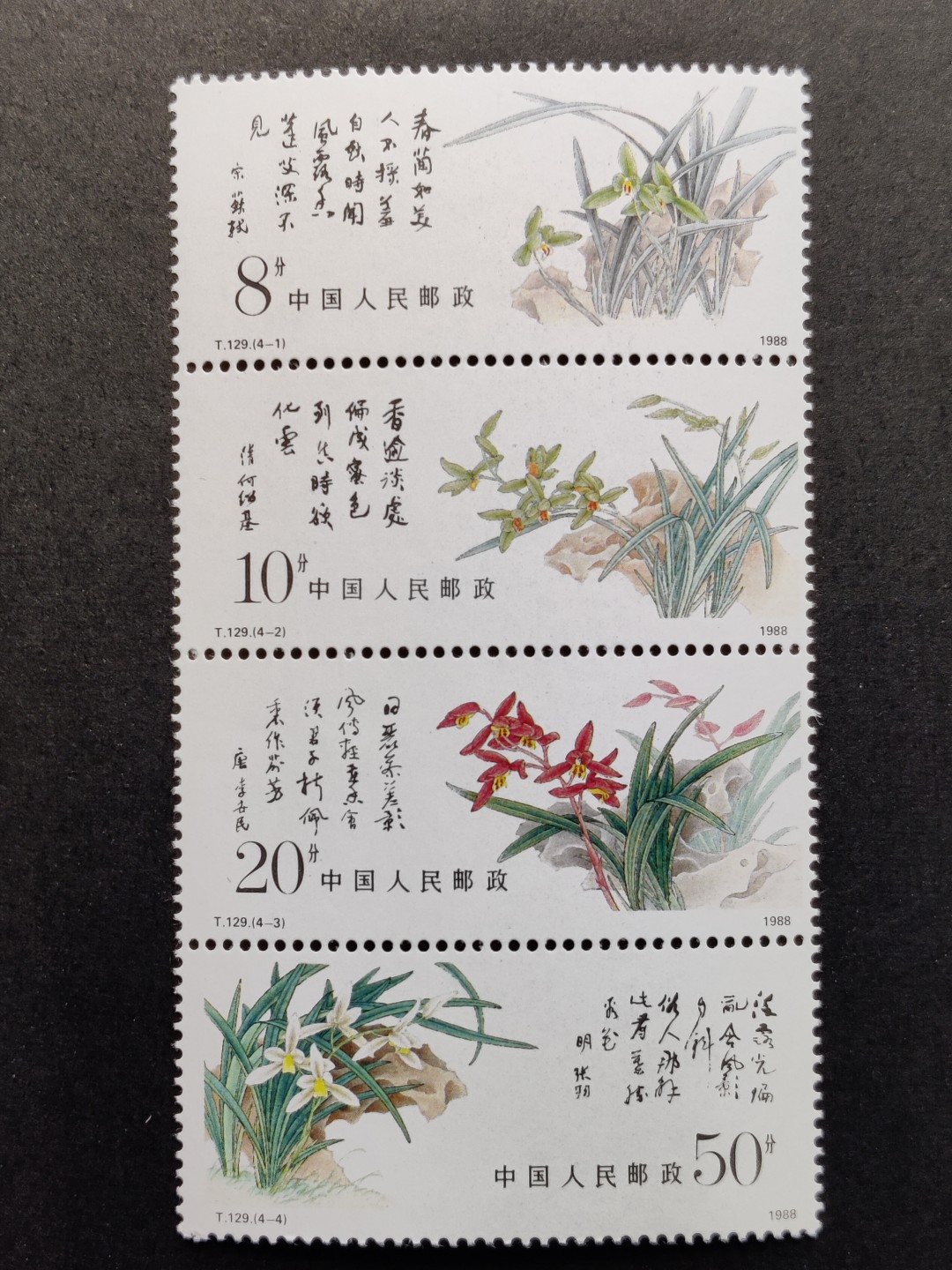 洪涛臻品批发群  精选邮票限时拍卖第一百四十五期 T129兰花 新全套 以前初中英语课本中介绍的中国邮票 原胶润亮！联票间齿孔无折！ 完美过灯！OG全品！