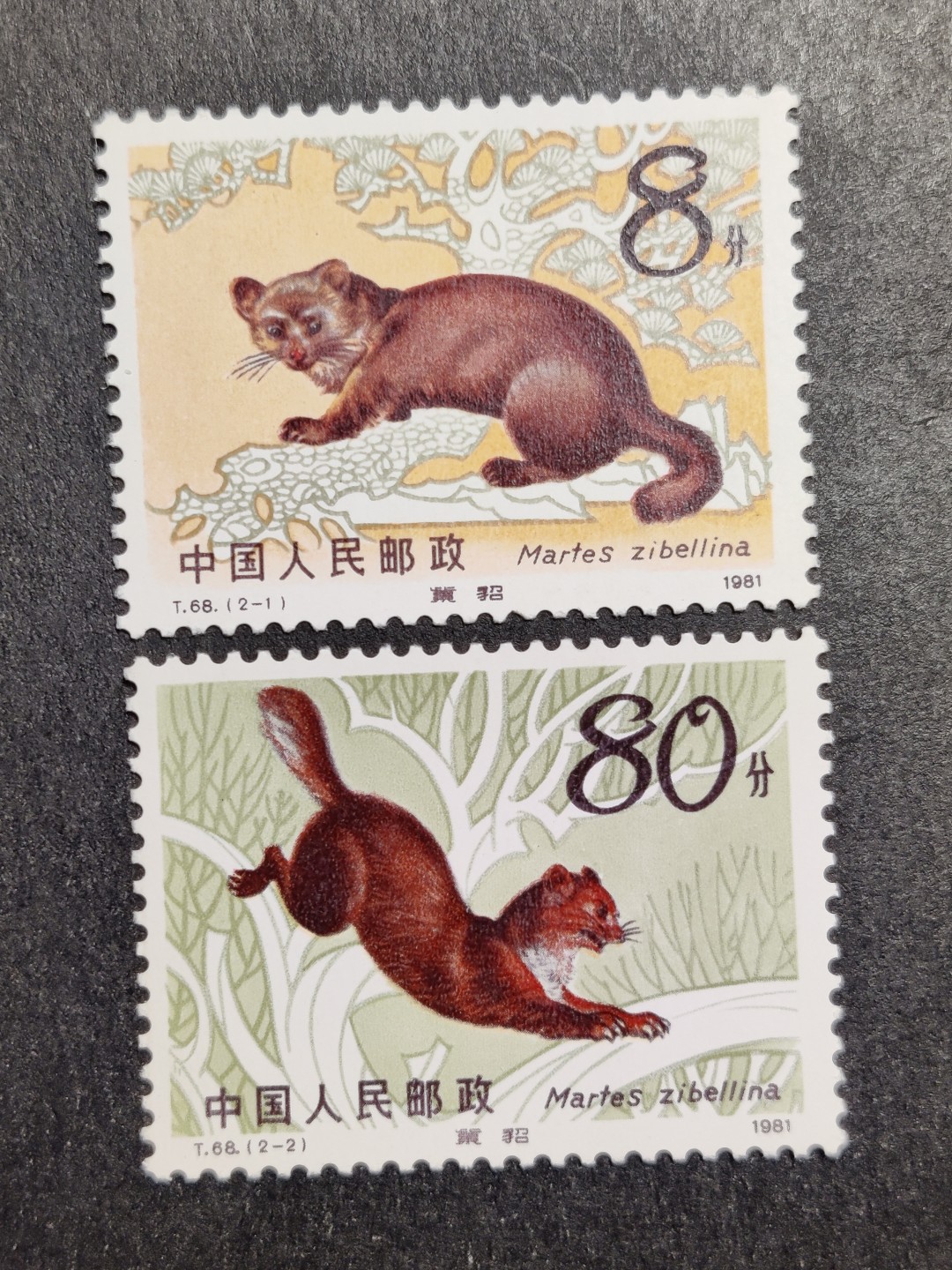 洪涛臻品批发群  精选邮票限时拍卖第一百四十七期 T68紫貂 新全套 面艳背白票生挺！齿孔粒粒饱满！原胶润亮OG全品！ 