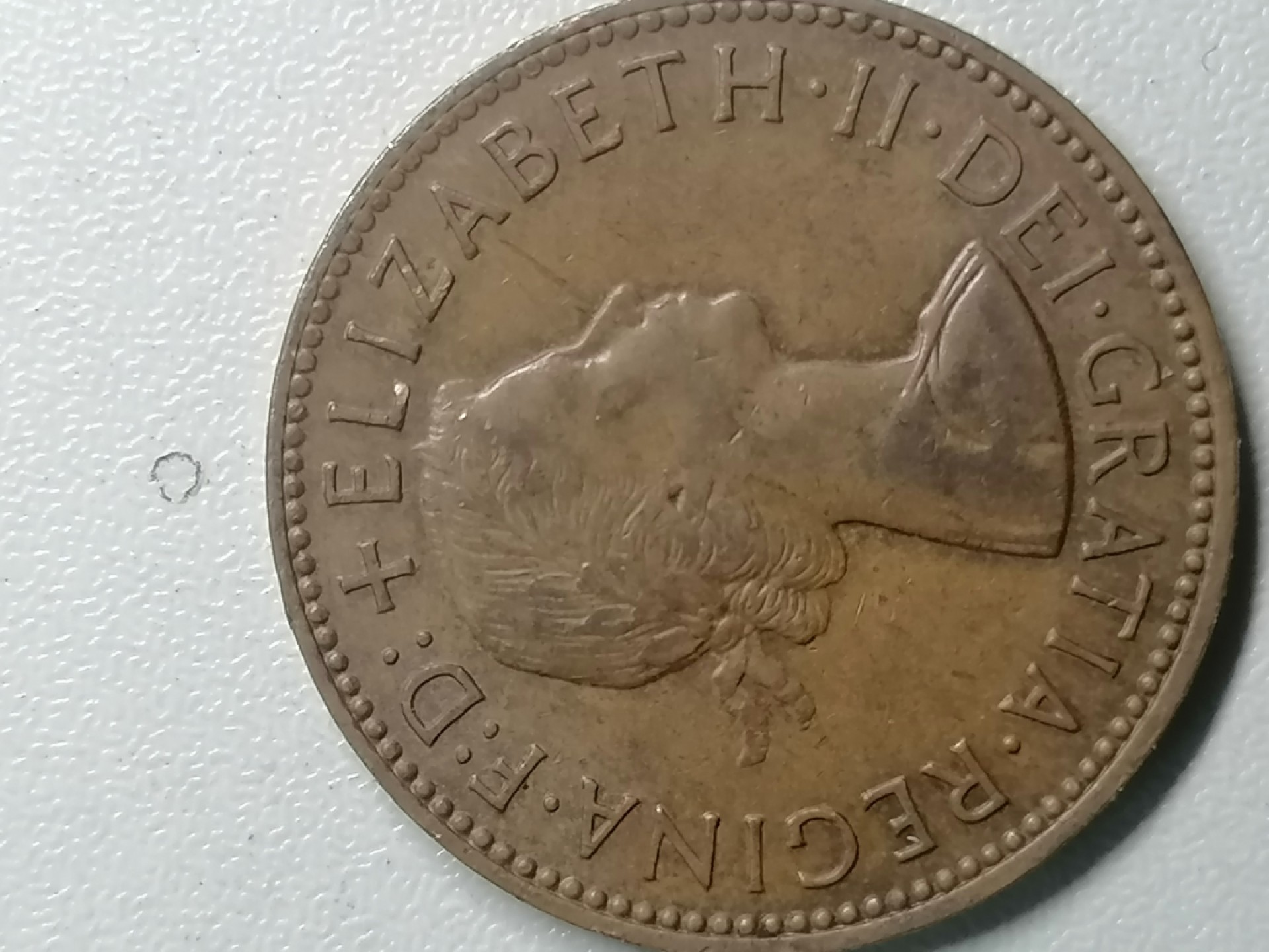 世界钱币专场 外币