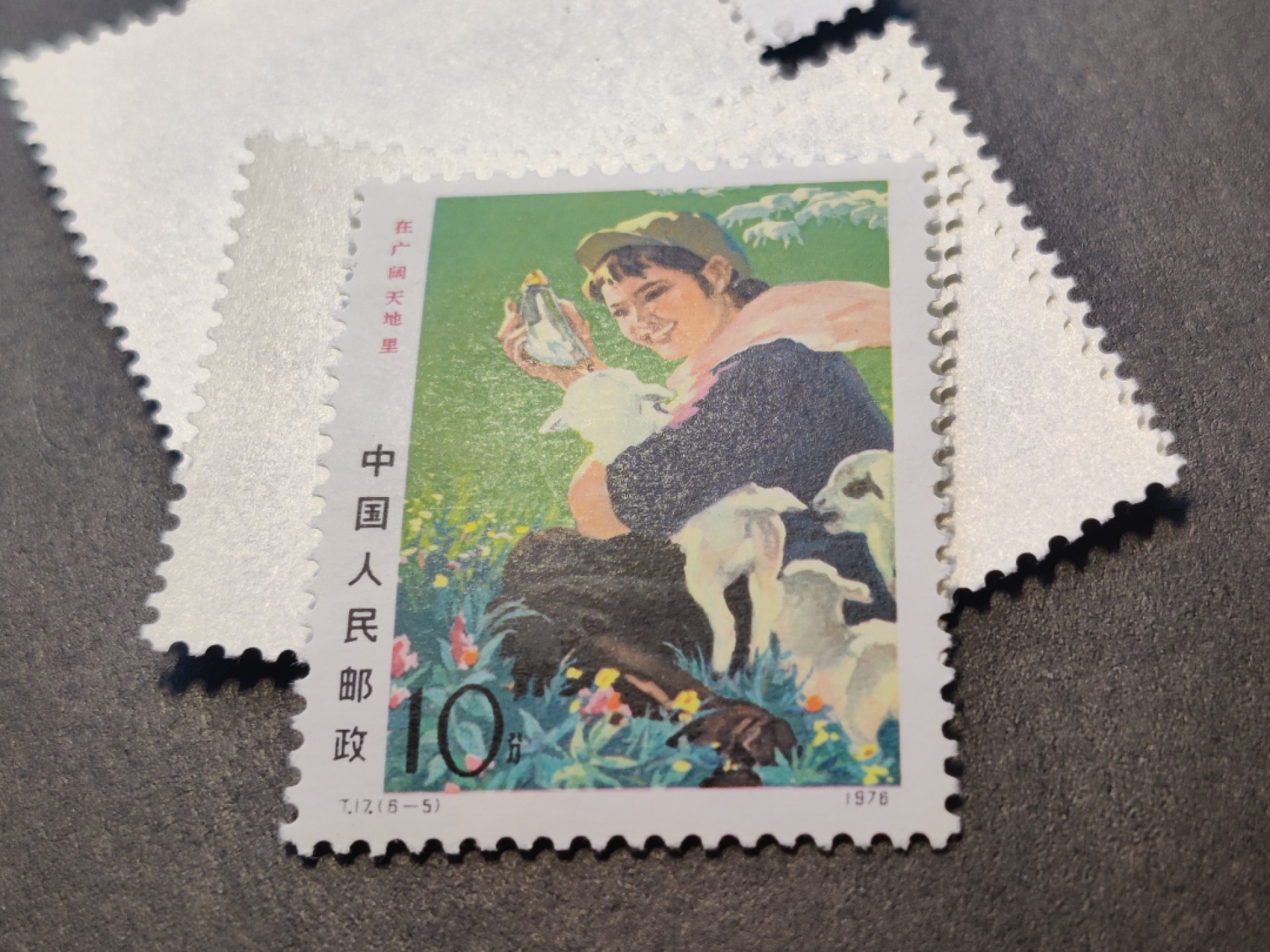洪涛臻品批发群  精选邮票限时拍卖第一百五十期 T17广阔天地 原胶背白 面艳票挺！最后一枚极小轻贴, 其他包括大筋票-4,均齿孔粒粒饱满 评级票品质！