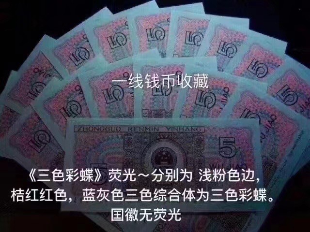 一线荧光币第46期拍场 钱坤评级8005PC351强荧光三色彩蝶，PC35133146，评级币单张，绝品无斑无油，强度4颗星🌟🌟🌟🌟