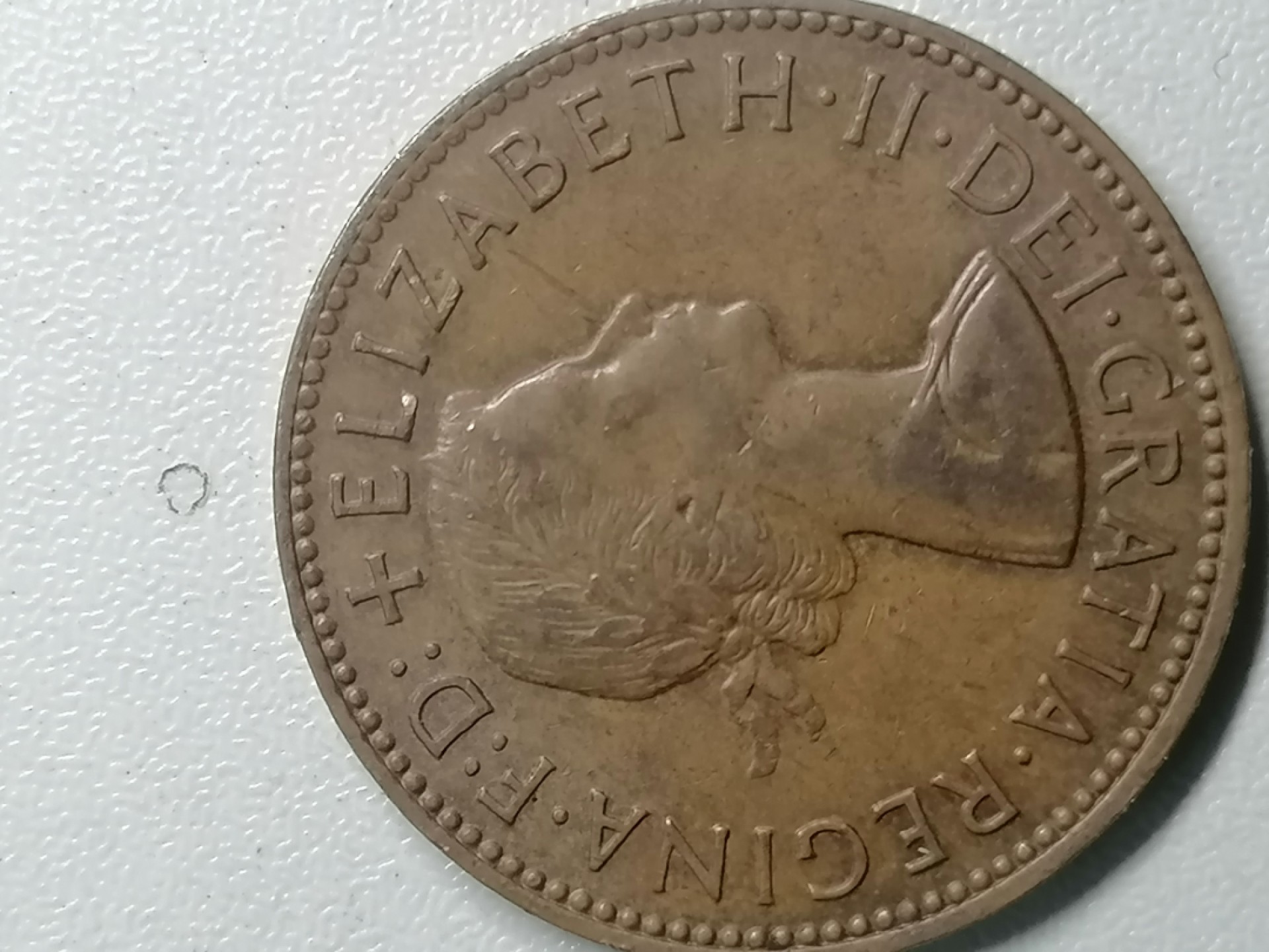 世界钱币专场 外币