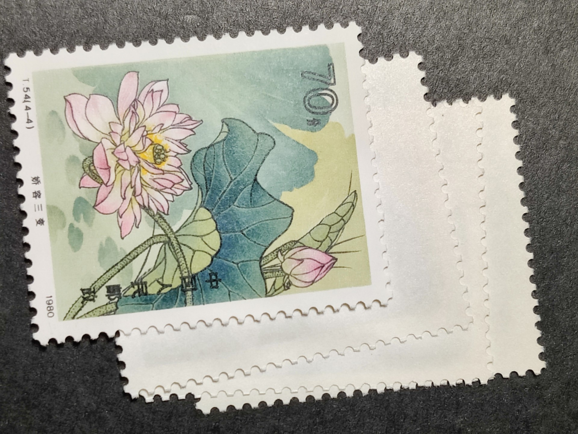 洪涛臻品批发群  精选邮票限时拍卖第一百四十八期 T54荷花 新全套无人为 角尖齿全！原胶润白票挺！个别低值背白但与大筋票有极细微色差，灯下正常，应该是纸质区别；1枚就是1套价的大筋票70分背胶雪白！ 