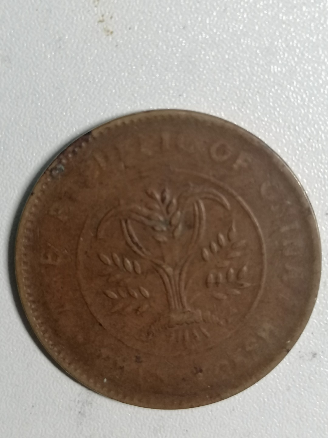 裸币专场 湖南双旗币二十文背嘉禾