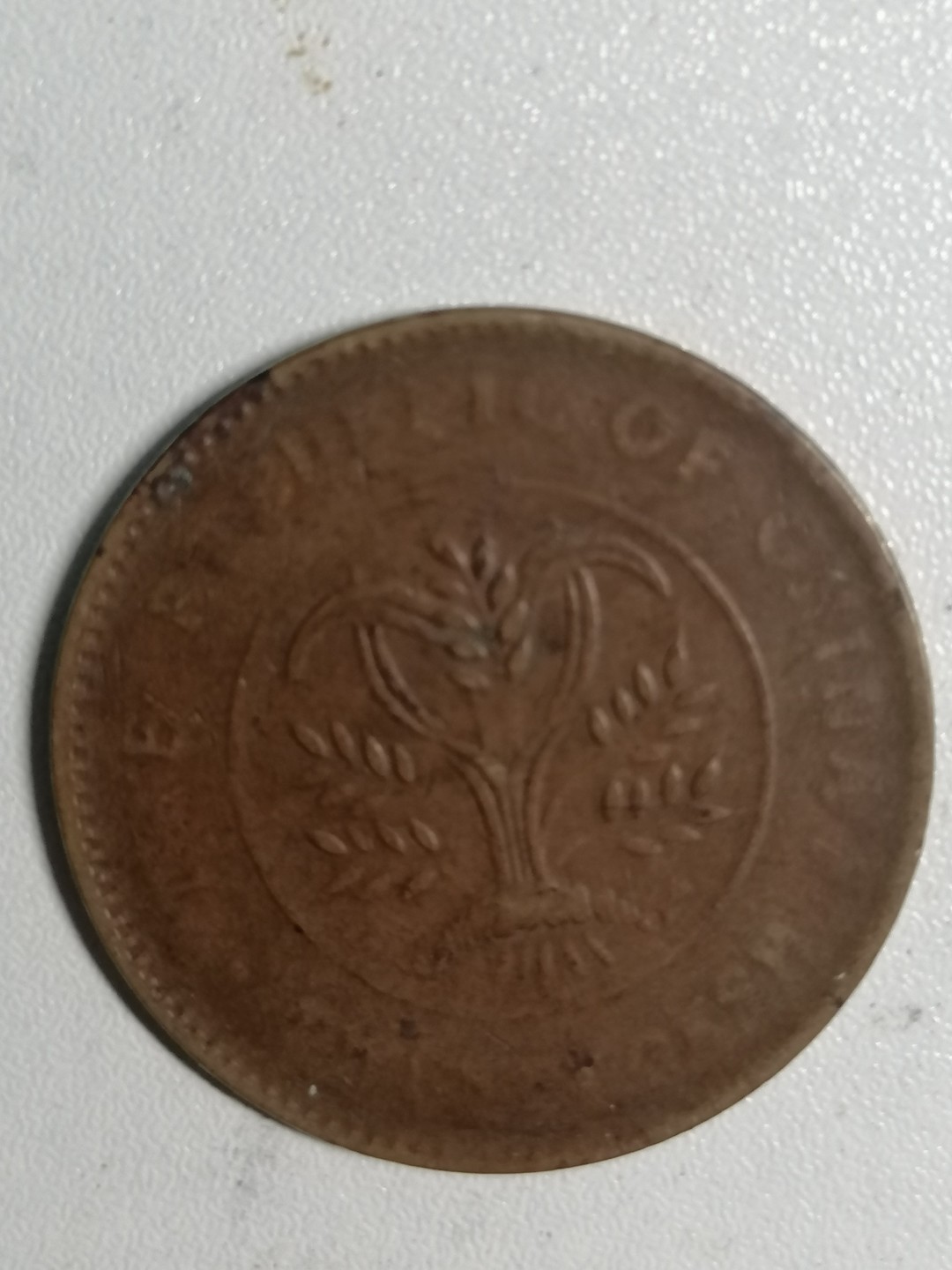 裸币专场 湖南双旗币二十文背嘉禾