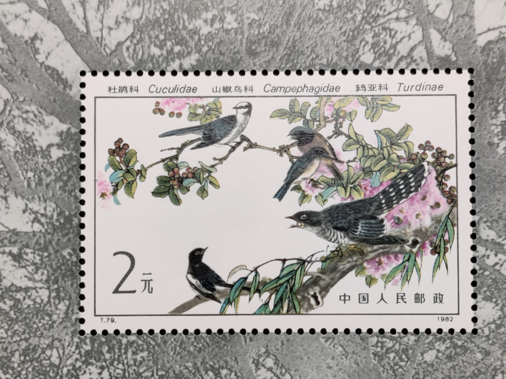 洪涛臻品批发群  精选邮票限时拍卖第一百四十八期 1982年T79M益鸟小型张 面艳背白票挺 原胶全品！【那时月薪几十上百元, 现在月薪几千上万元, 从养活家人的成本算, 那时的钱相当于现在钱的约一百倍购买力! 这个当时发行2元, 约等于现在200多元,卖不到200多元都是实际上的贬值！想不到吧 】