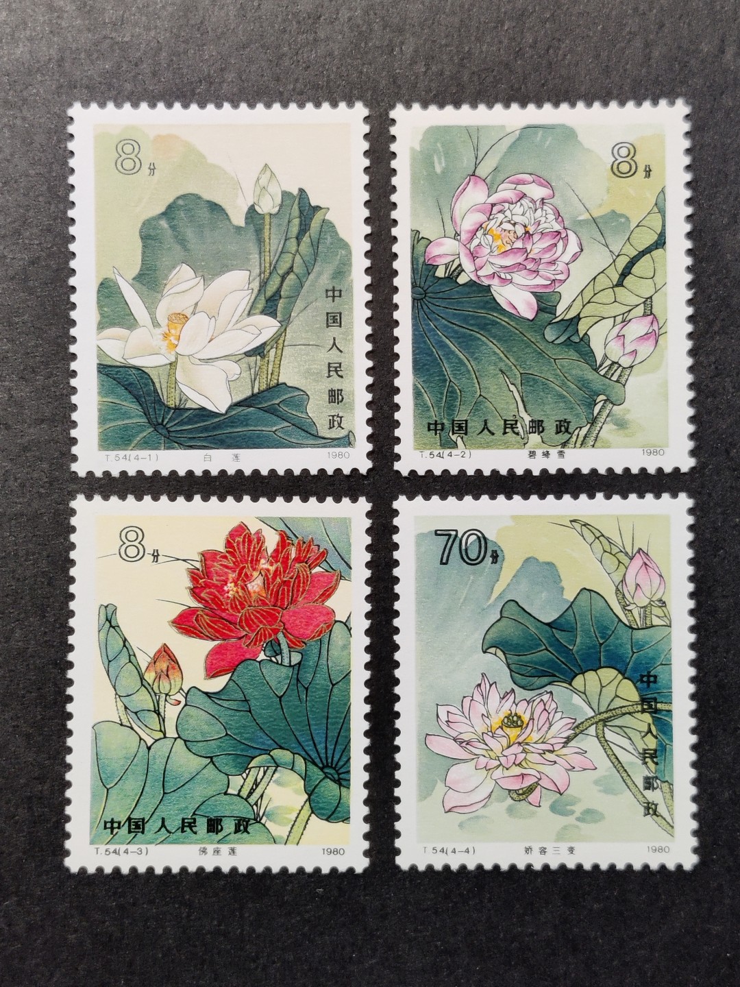 洪涛臻品批发群  精选邮票限时拍卖第一百七十期 T54 荷花 新全套 原胶背白面艳票挺！全品！【不用怀疑,JT票中大精品!】