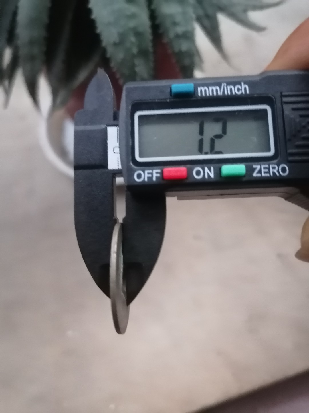 裸币专场 至道元宝