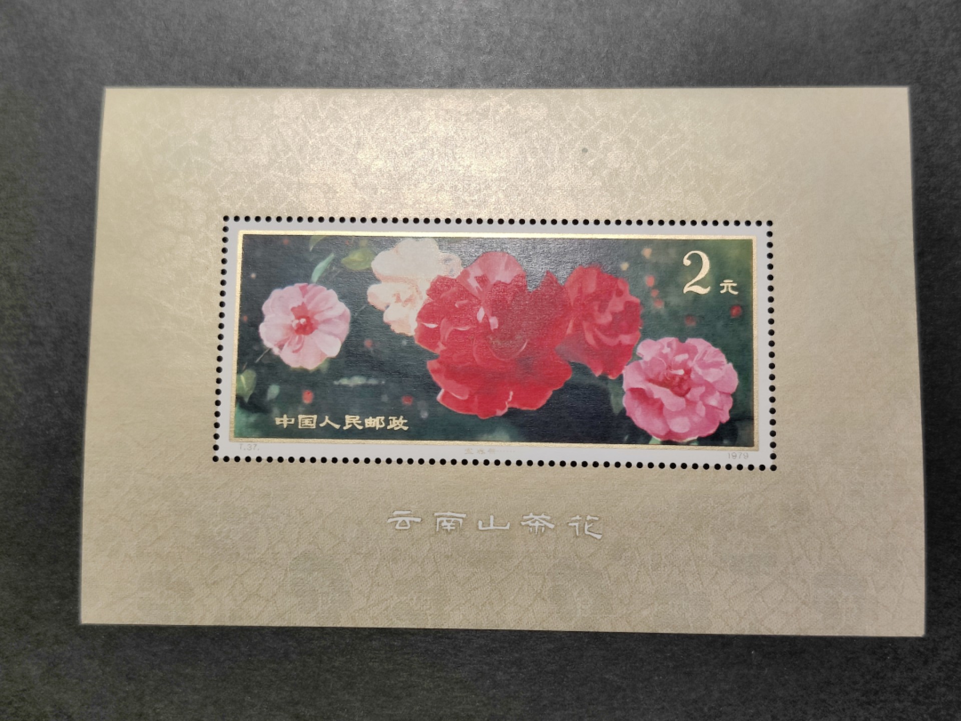 洪涛臻品批发群  精选邮票限时拍卖第一百九十三期 T37M山茶花小型张 边框纸质点 原胶白润, 面色艳丽, 票身挺！ 正常尺寸。本项保存良好！金粉亮品相优良,十分难得的品相！【尾图: 上品成交价1987元】