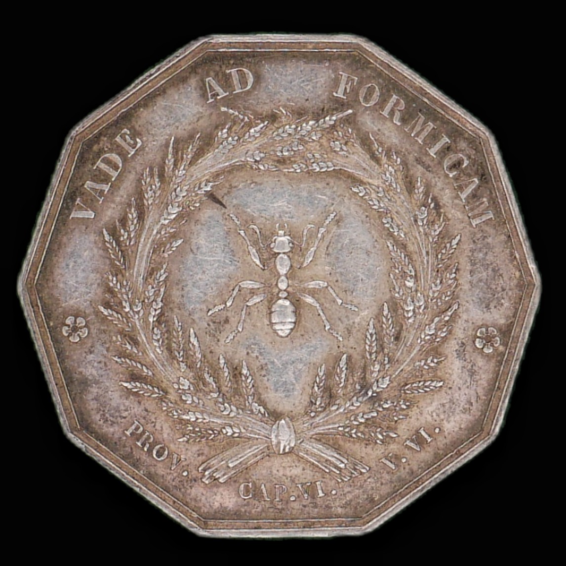 勋章奖章交易所1月27日（初六）法国币章专场 法国银质1822里昂城堡十边代币，约16.4g