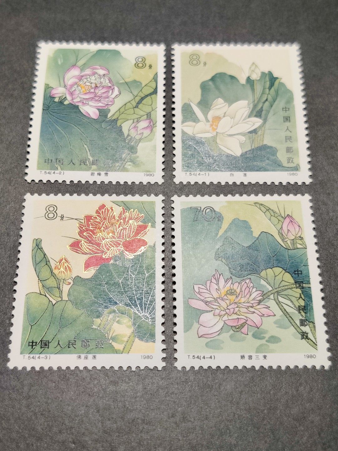 洪涛臻品批发群  精选邮票限时拍卖第一百四十九期 T54荷花 面艳背白票挺！完美过灯！（有荧光纸与非荧光之别） 原胶全品